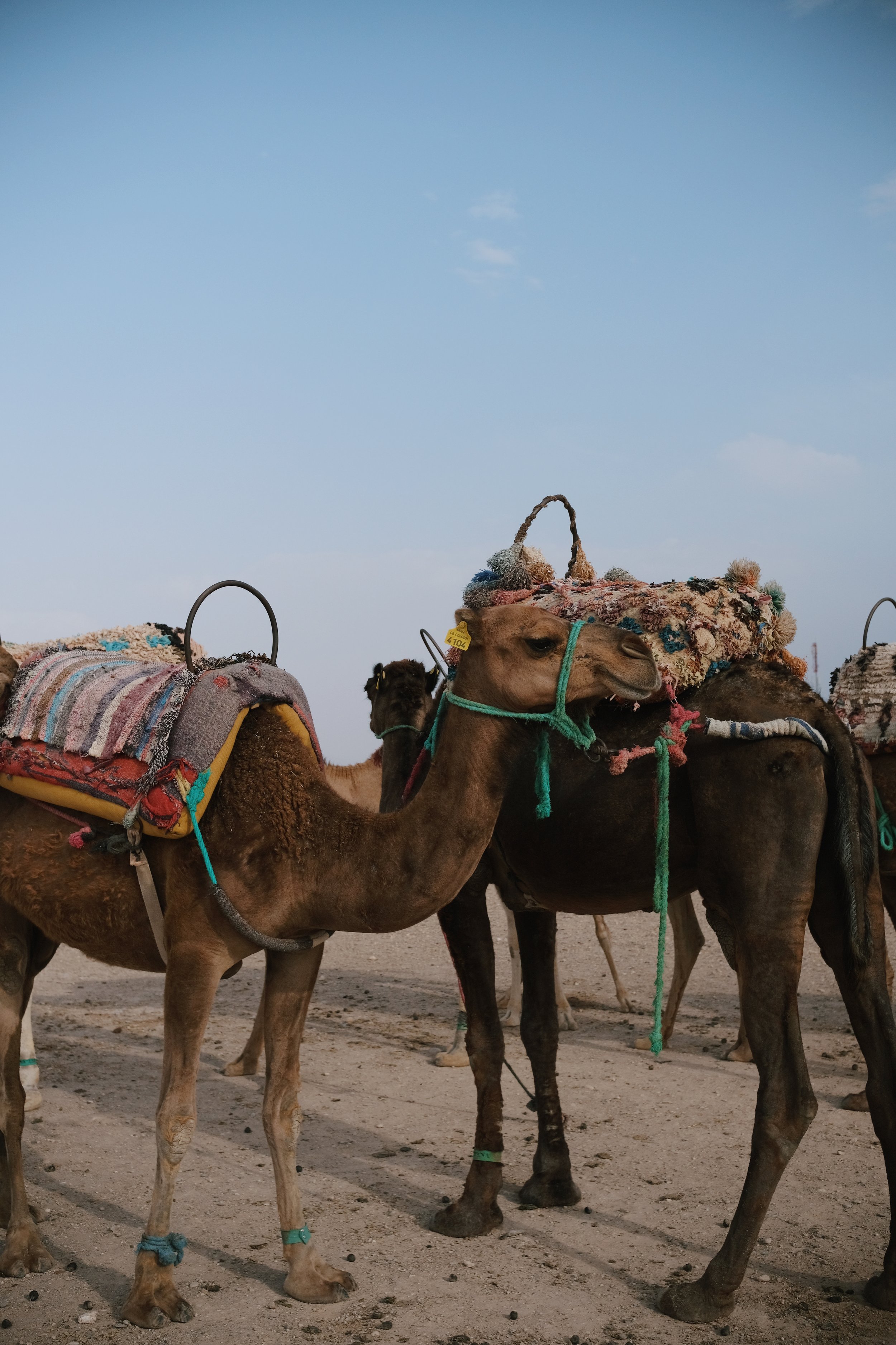 AfterlightImage 17.JPG