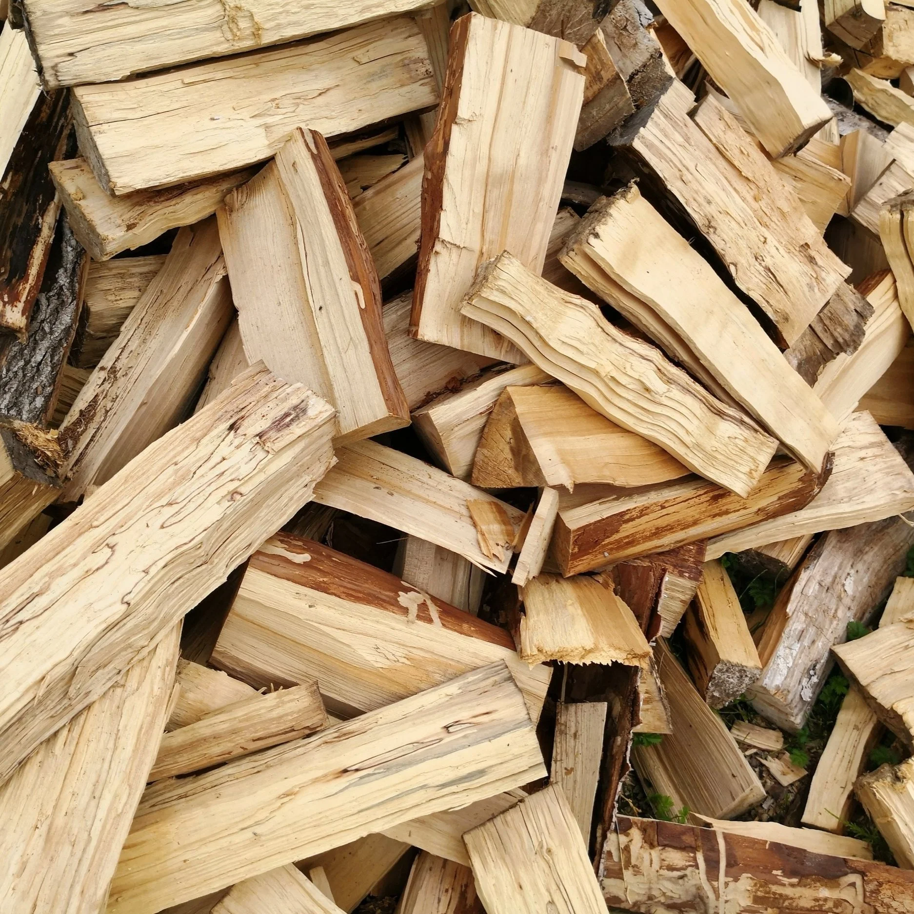 AdobeStock_342872999.jpg
