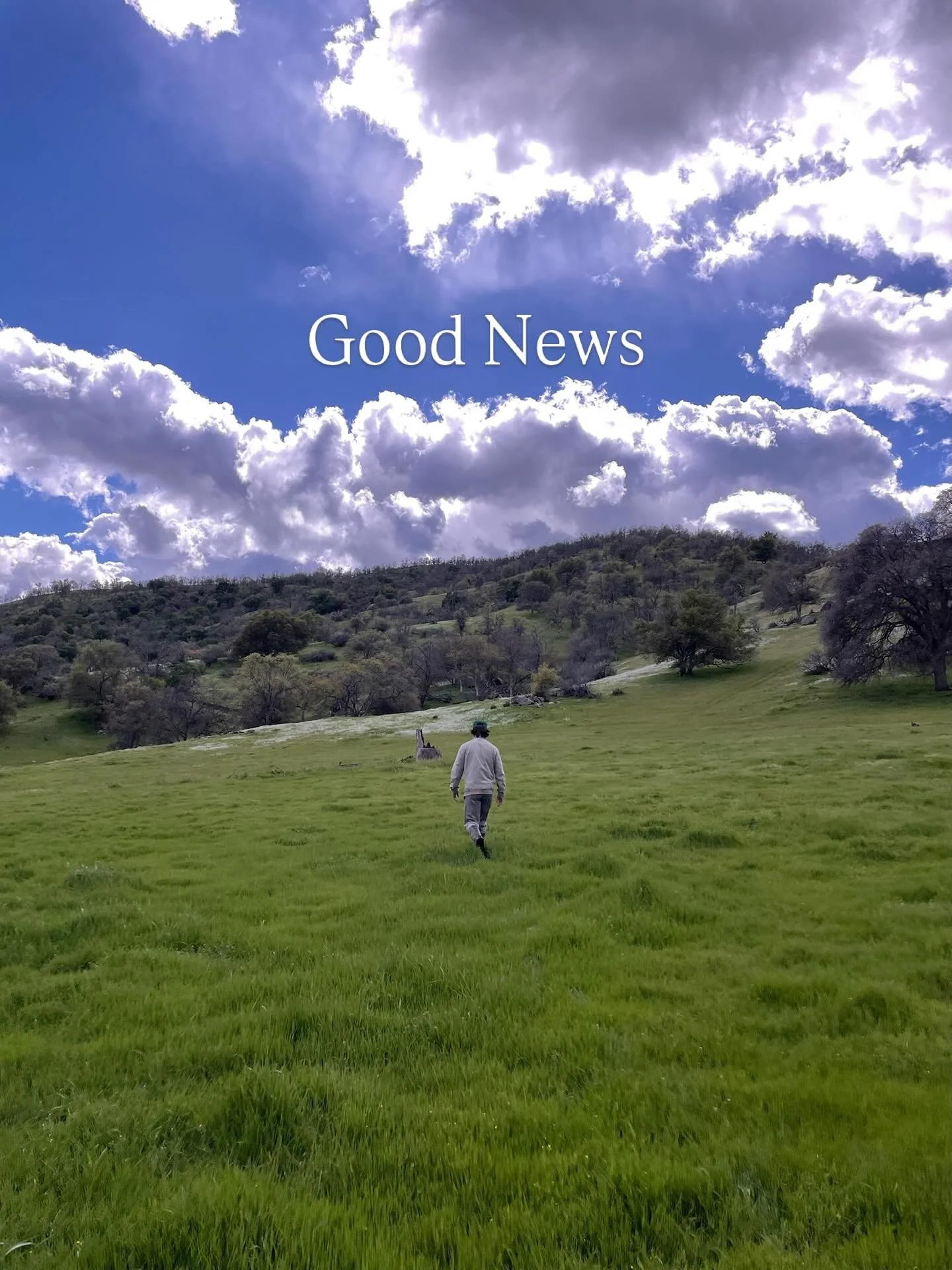 Good news regarding how and when our beef will be available🫶🥩🌾

#grassfedgrassfinishedbeef #directtoconsumer #localfoods #regenerative #nutrientrich