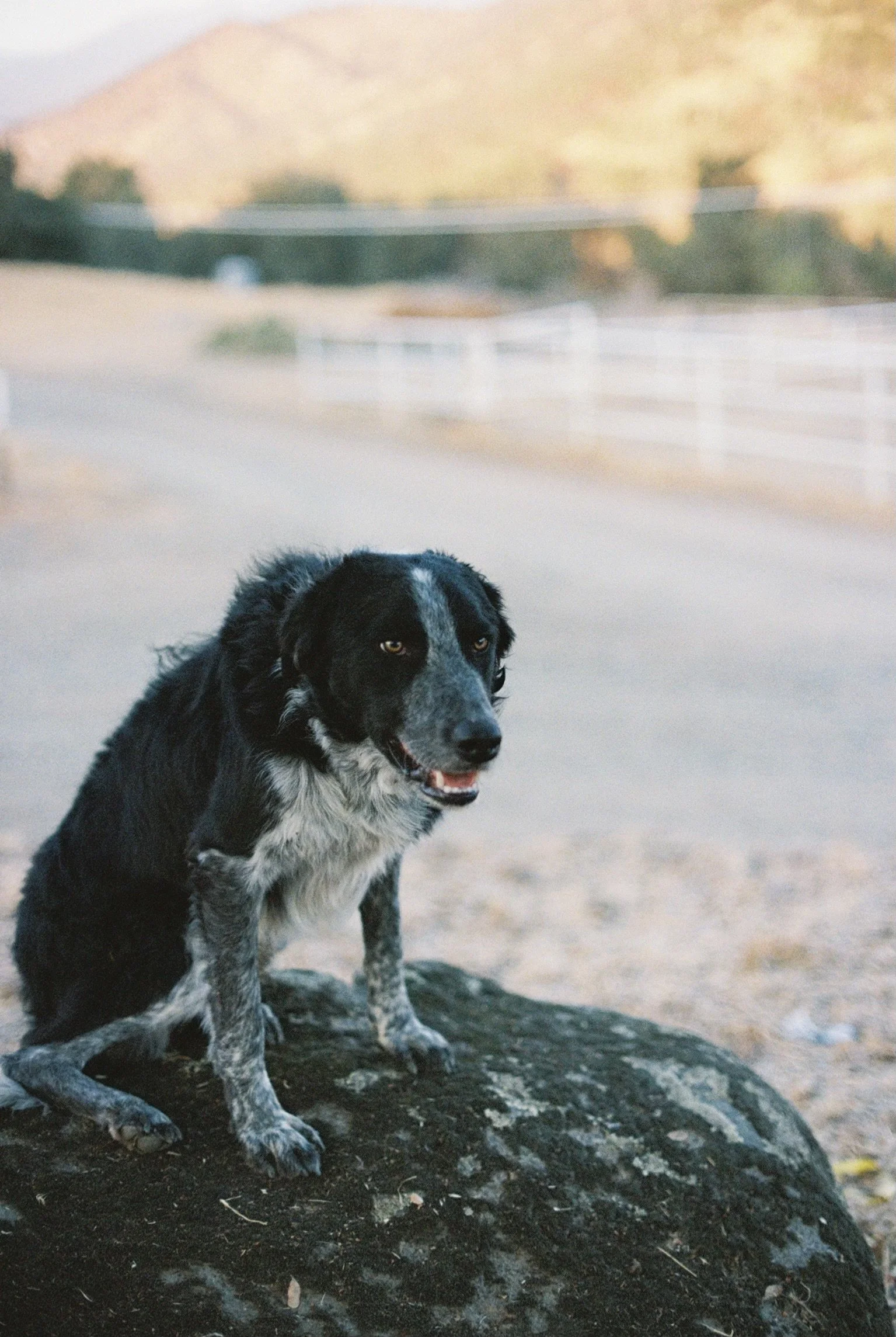 IMG7069-R01-016A.jpeg