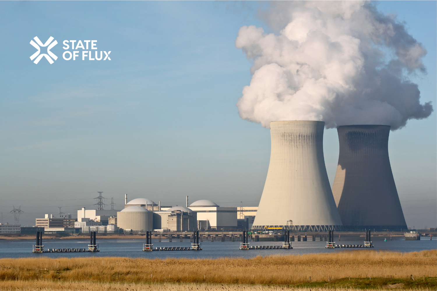 Managing Critical Suppliers in Nuclear Energy — Sellafield Case Study