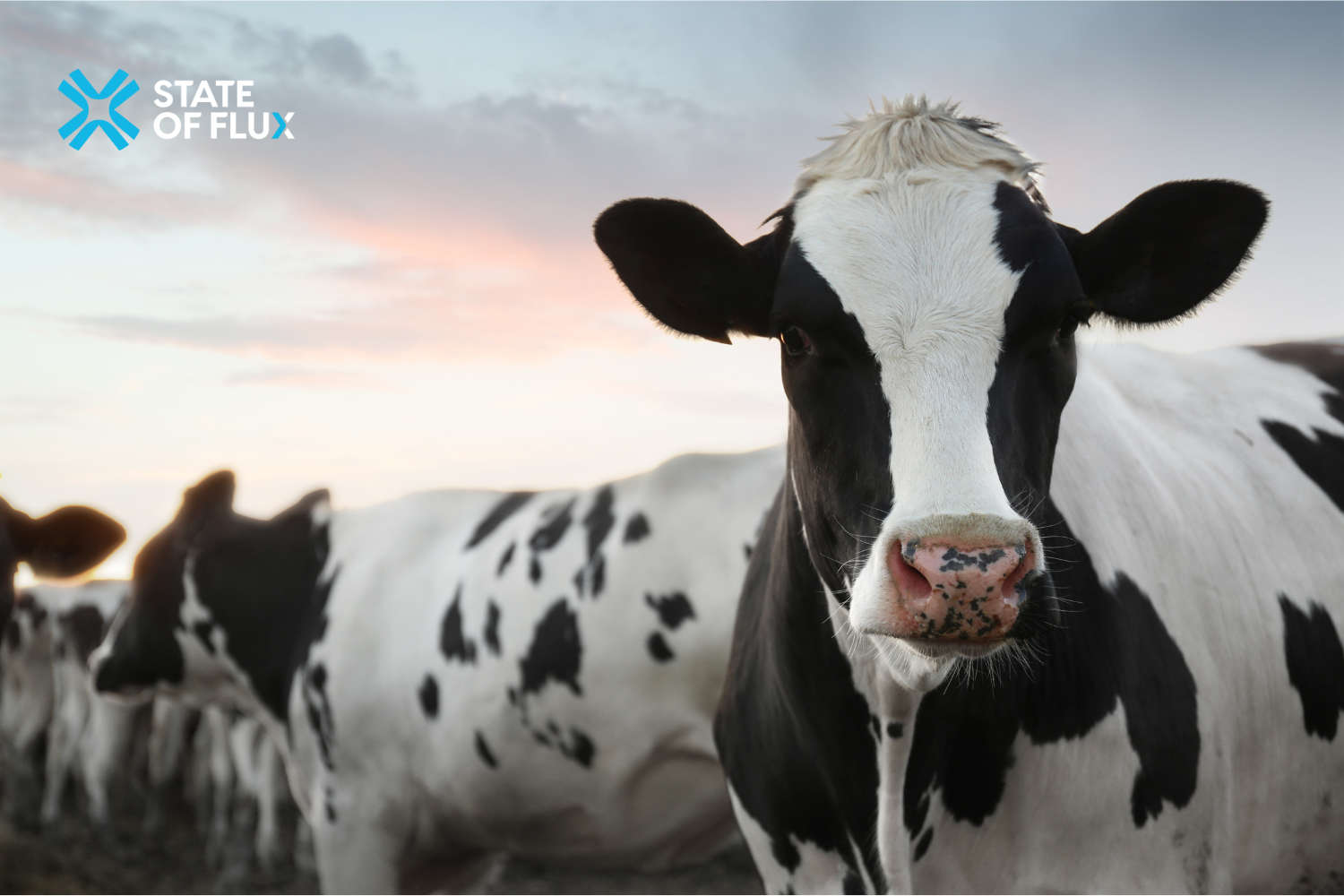 Supplier Collaboration in a Changing Market — Dairy Crest Case Study