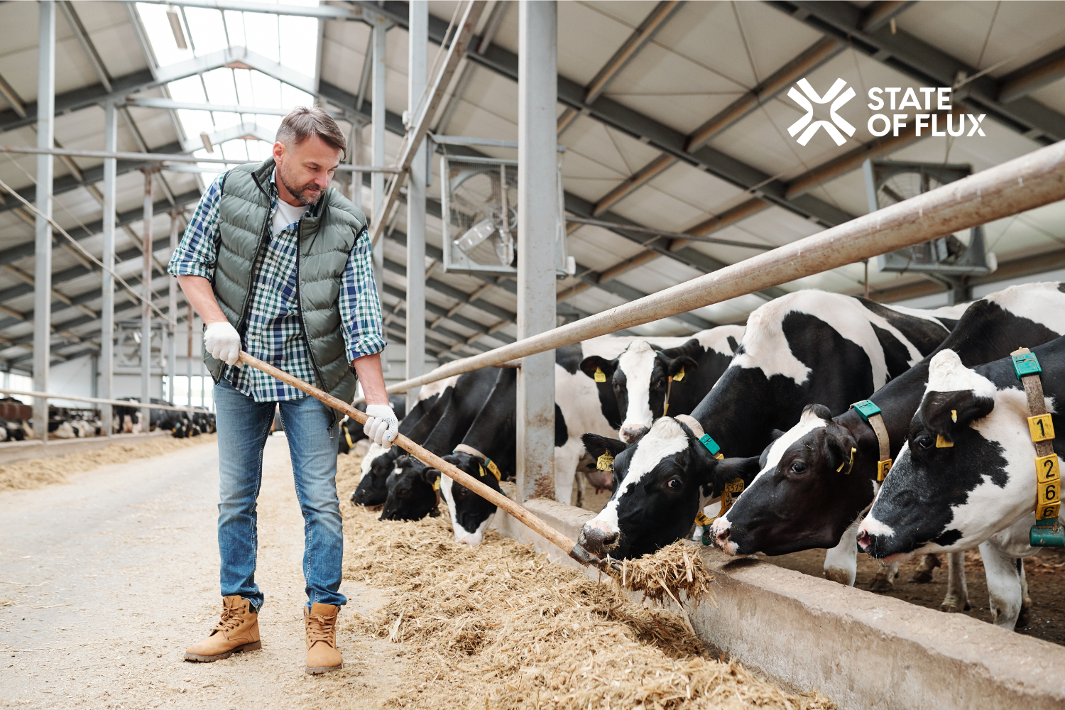 Award-Winning Procurement Partnerships — Dairy Crest Case Study