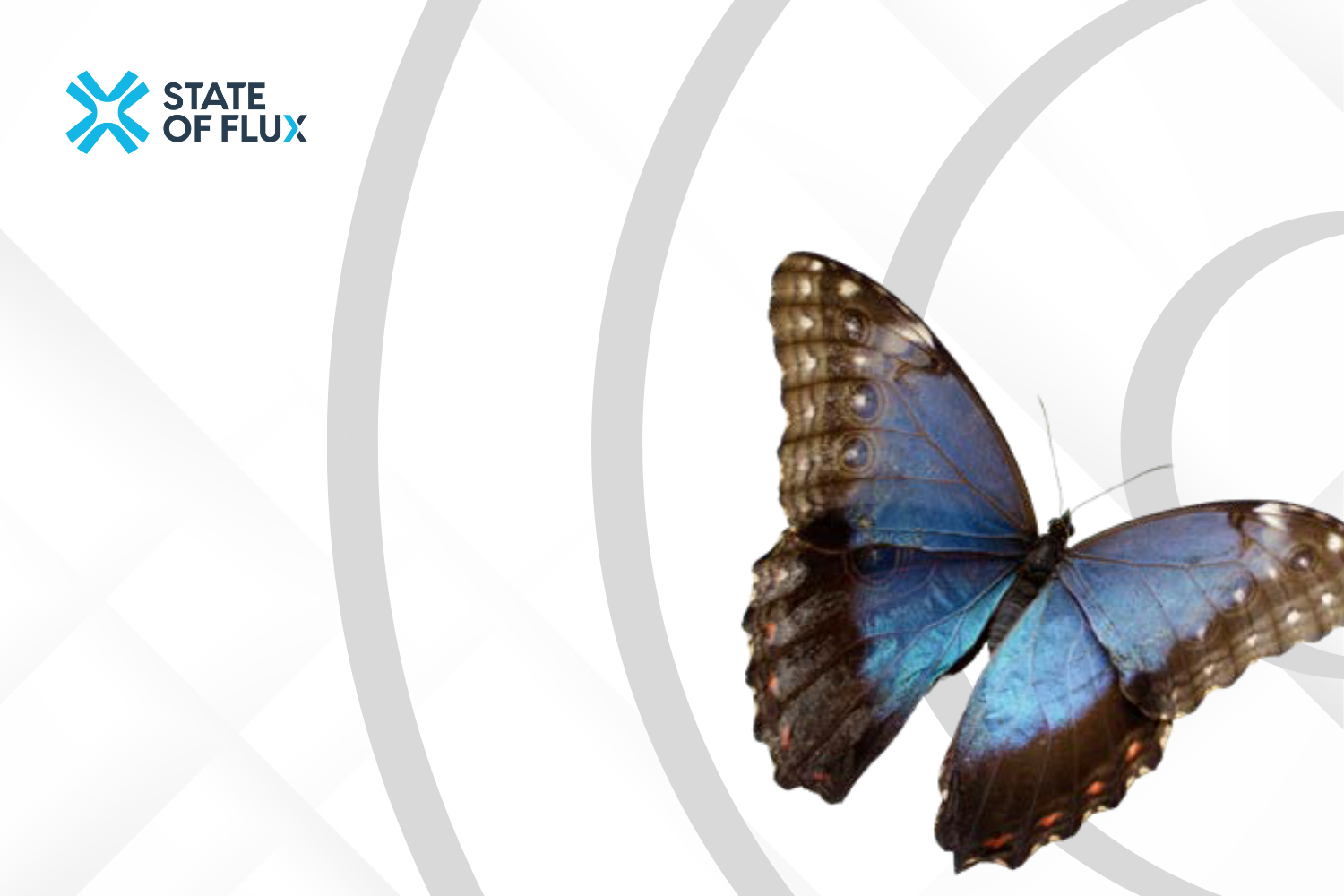 Respect, Trust and Loyalty