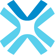 State of Flux blue star icon representing consulting