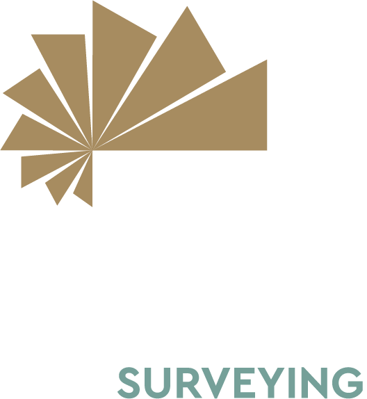 Next Step Surveying