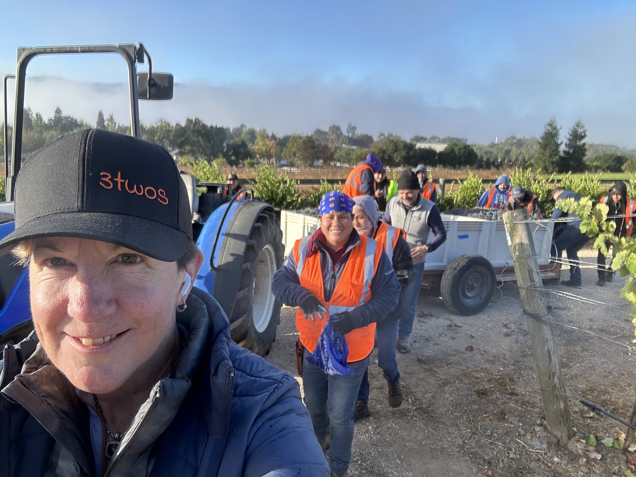3twos Ranch INÉSUEÑO Bordeaux Blends Santa Ynez Valley - harvest, Colleen Estrada and workers smiling as grapes are being prepped to be transferred to Dragonette Cellars