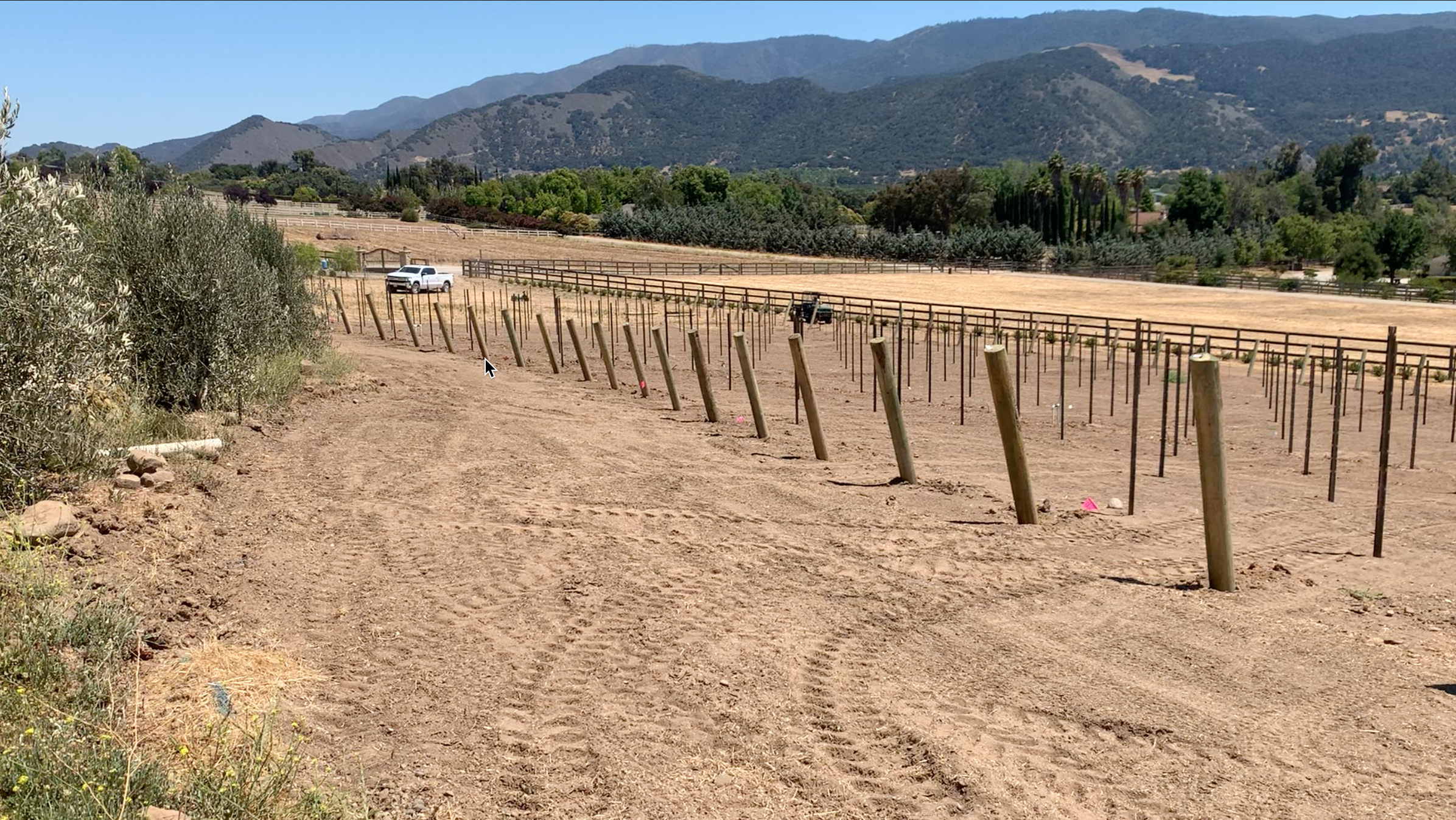 3twos Ranch INÉSUEÑO Bordeaux Blends Santa Ynez Valley - the posts for the vineyard are installed at 4 degrees off true north