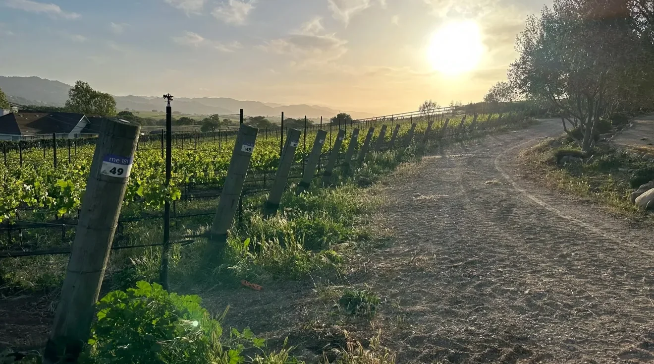 Sunset over INÉSUEÑO