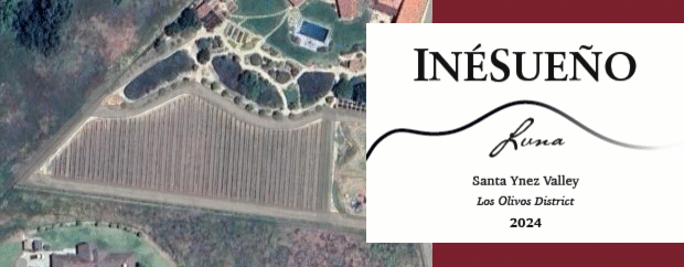 Animation showing the vineyard perimeter transforming into the hand-drawn tendril on the INÉSUEÑO label.