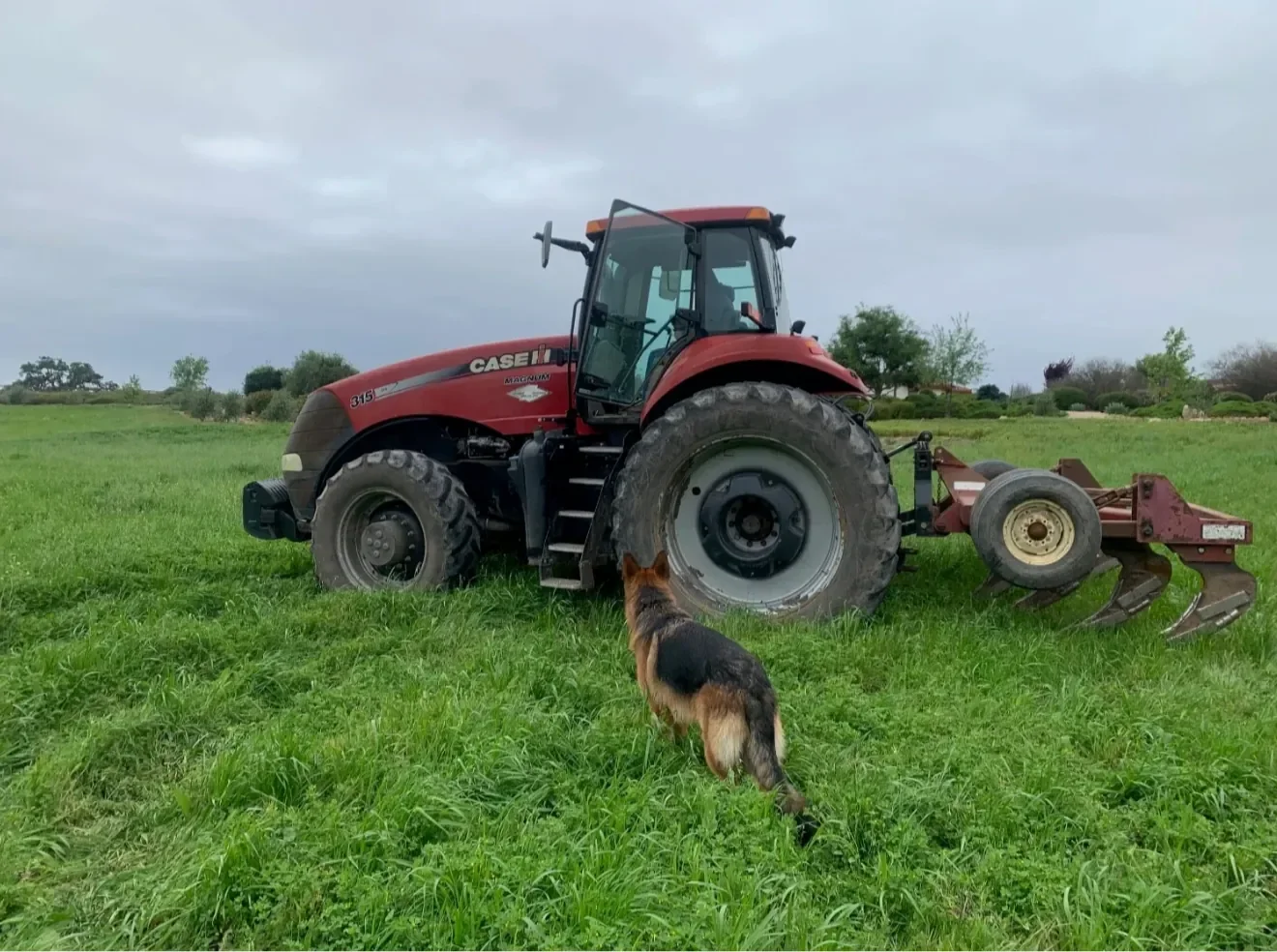 INÉSUEÑO Exquisite Bordeaux-style Blends Santa Ynez Valley Los Olivos District AVA- initial vineyard site preparation with large red tractor fixed with "rippers."