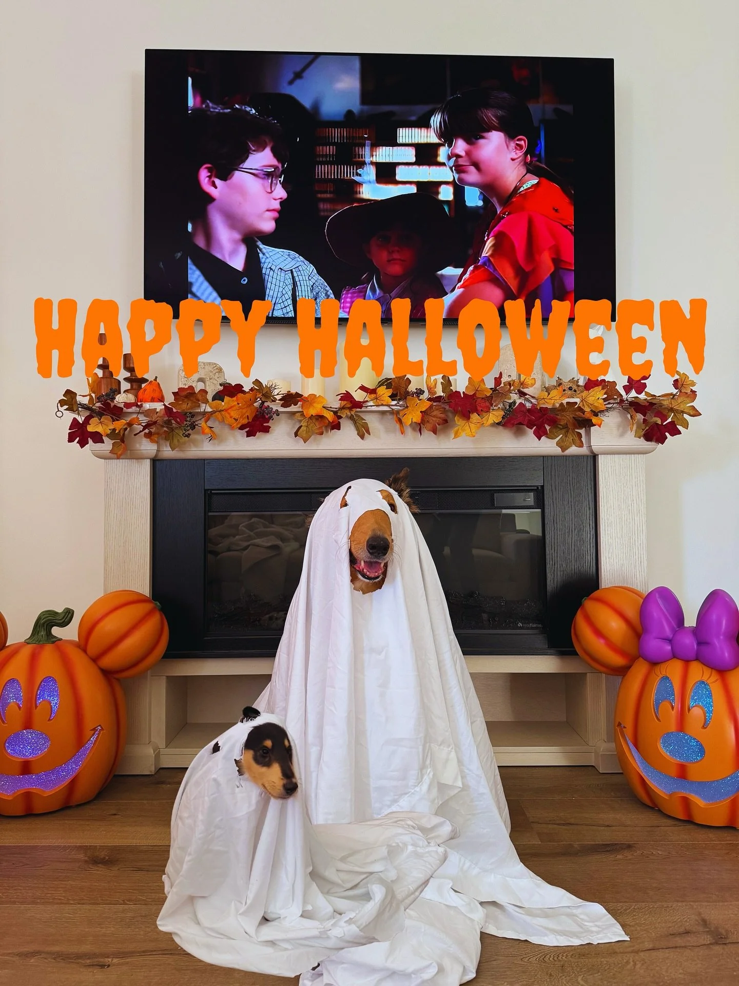 INSTA: 👻 Ghost Quest &amp; Ghost Fable are floating by to wish everyone a Happy Halloween! 🎃✨We recognize these are PEAK editing skills. 🤌🤣

We hope your day is filled with treats, laughs, and maybe a few friendly haunts. 😉
While the ghosts play