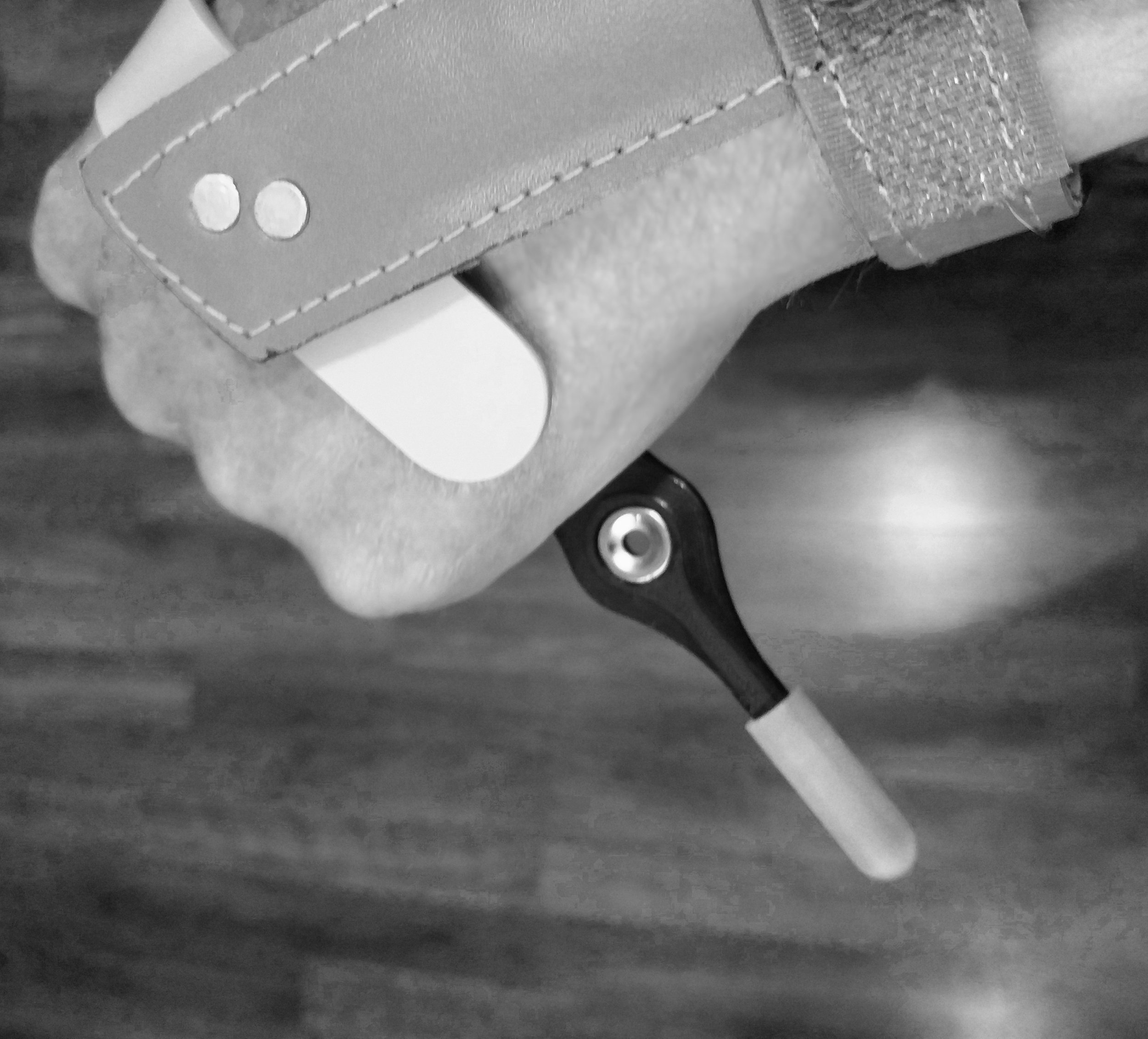 Assistive Pointer