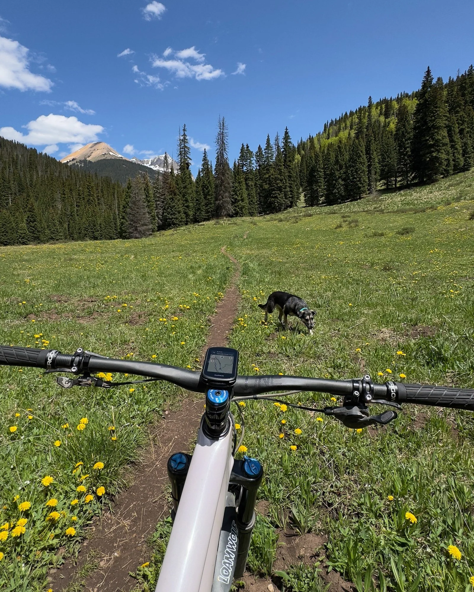 Engineer Mountain MTB 02.jpg