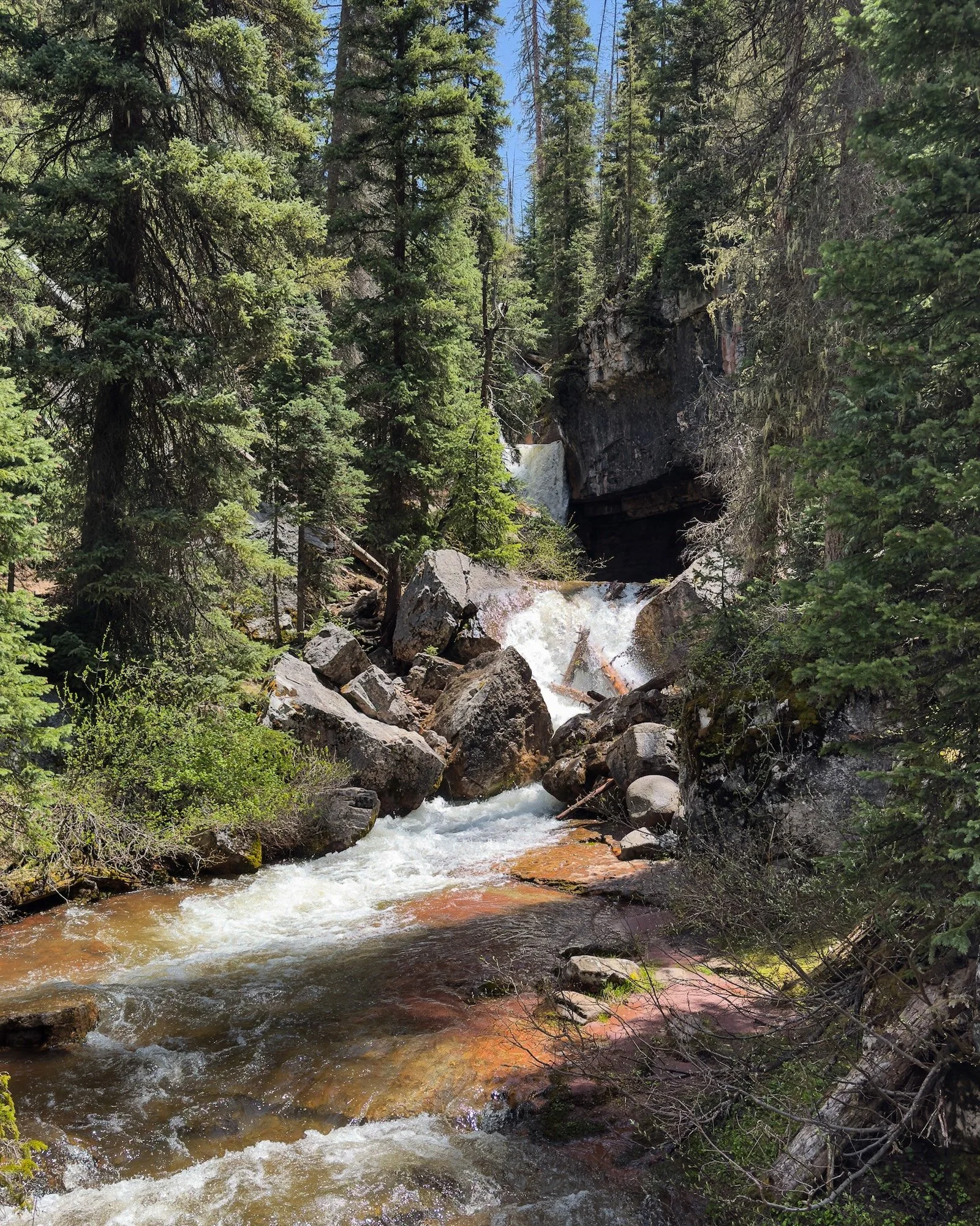 Engineer Mountain MTB 03.jpg