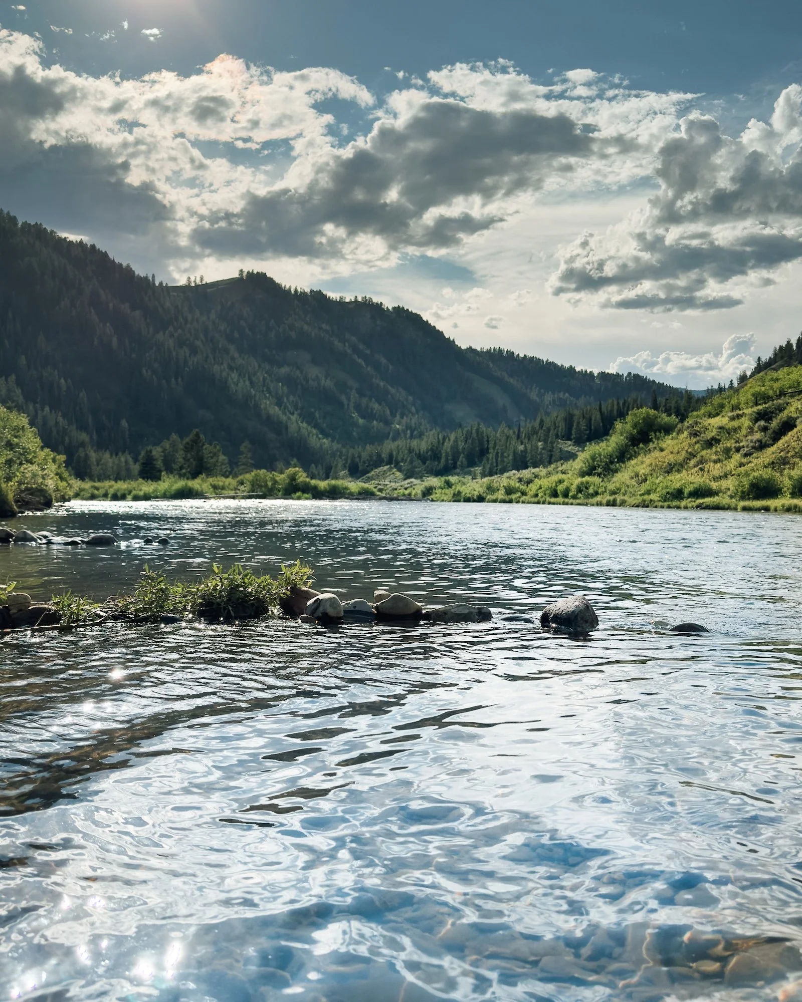 Kozy Campground Creek.jpg