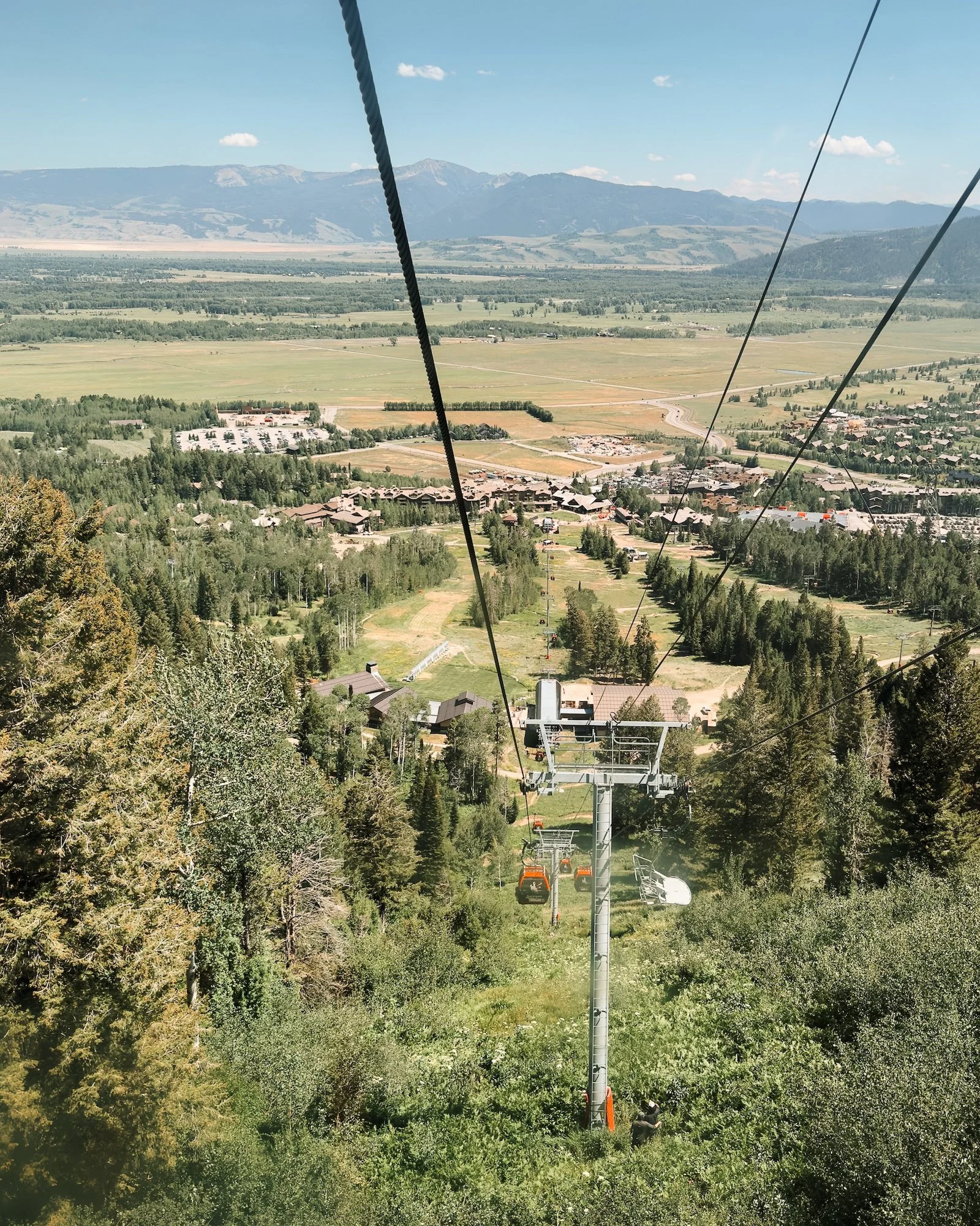 Jackson Hole Gondala view.jpg