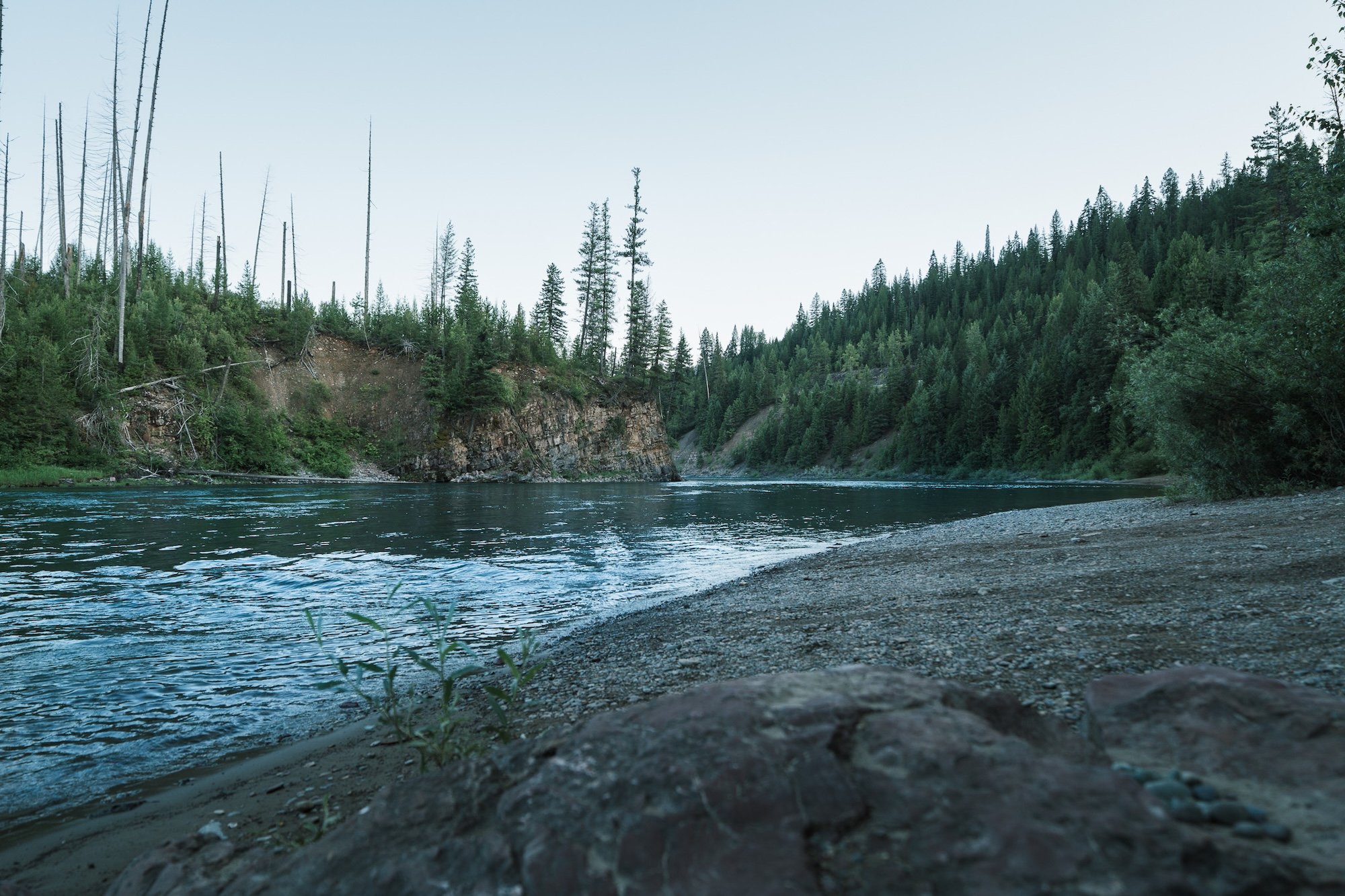North-Flathead-River-Montana.jpg
