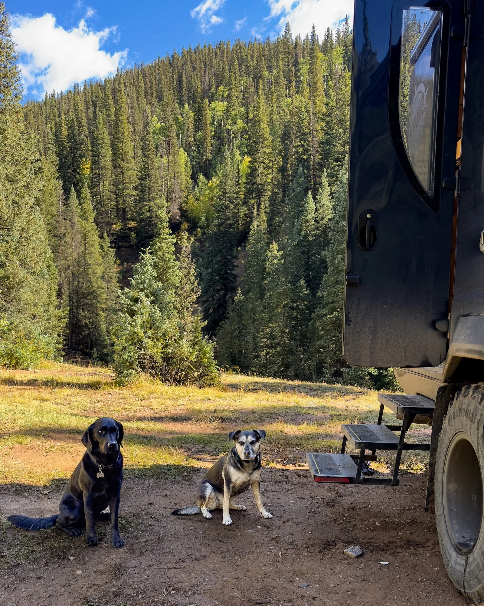 Animas-Forks-Ghost-Town-Dogs-01.jpg