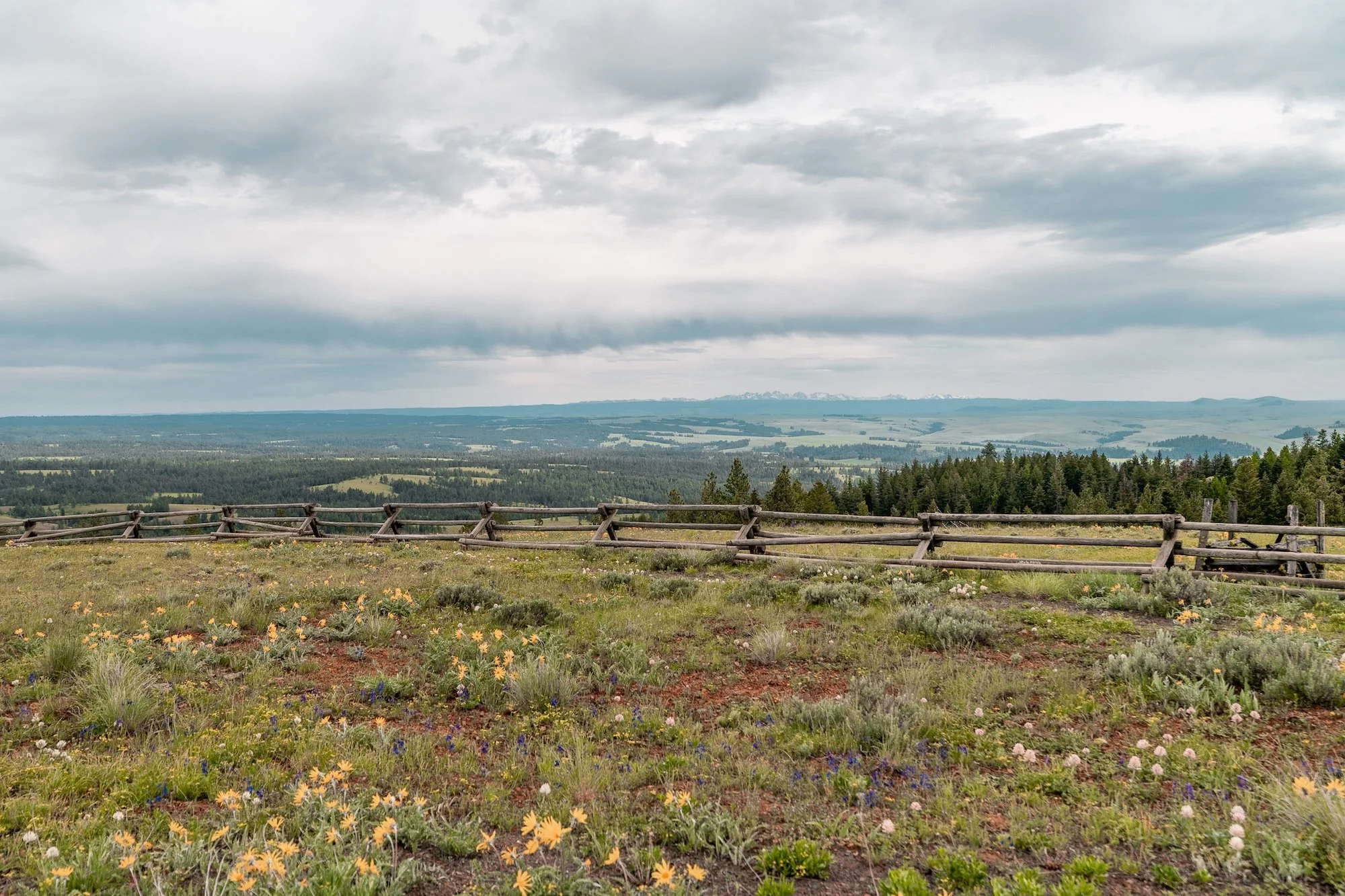 A7R09135.jpg