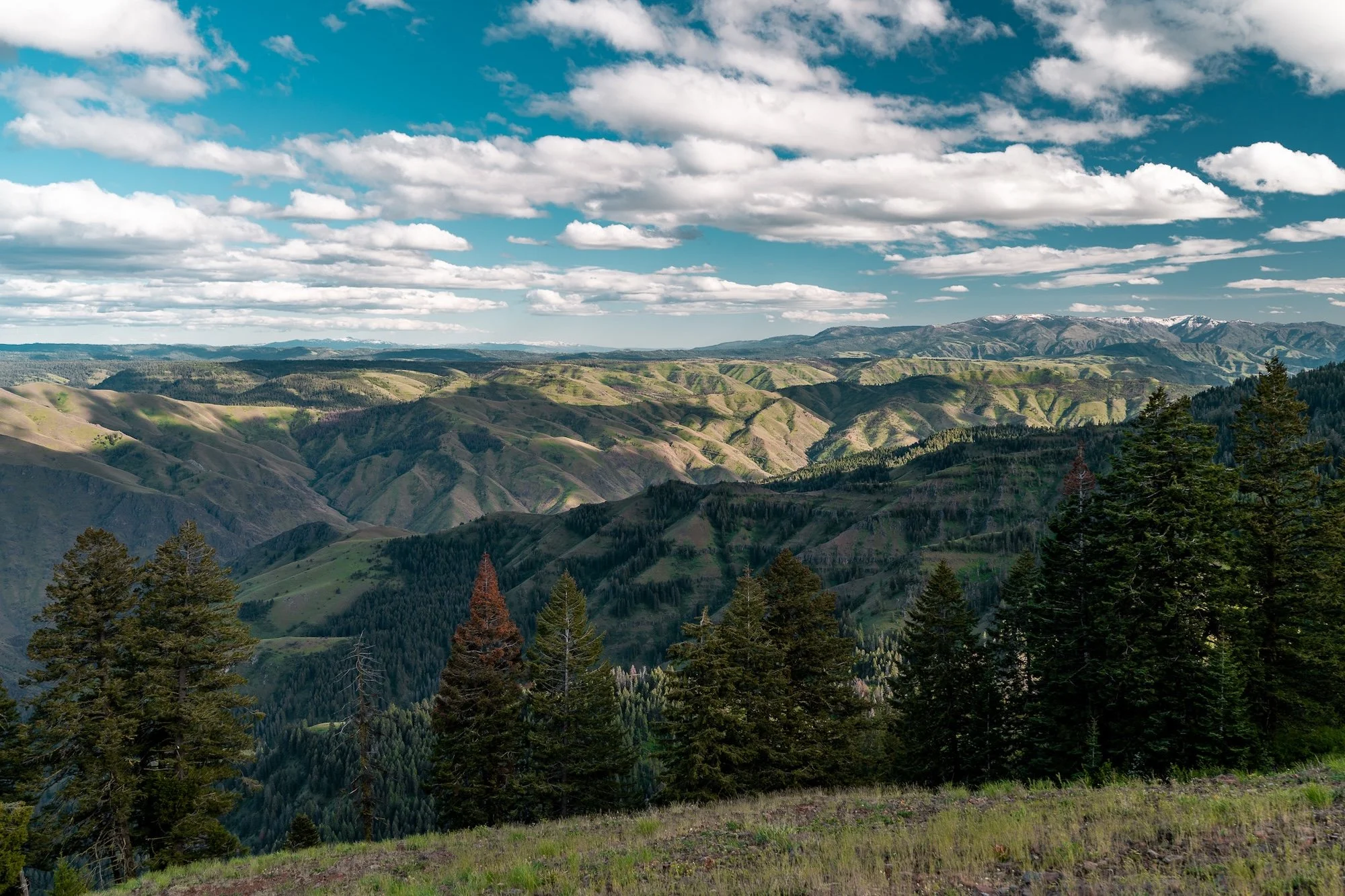A7R09200 2.jpg