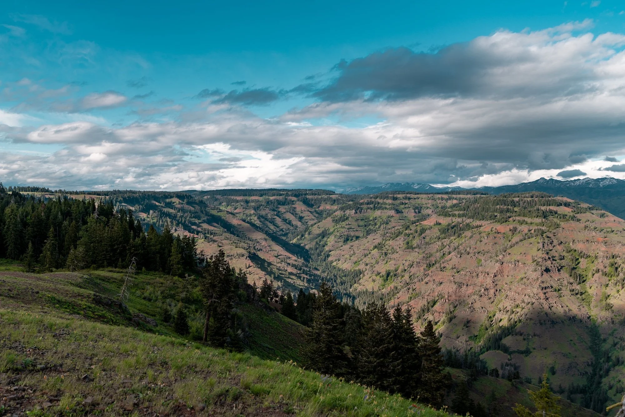 A7R09207.jpg