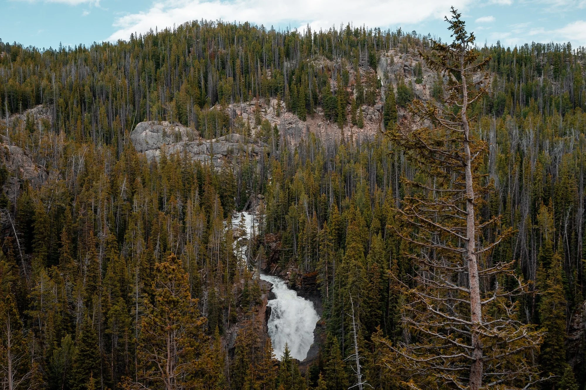 Beartooth_Highway_06.jpg