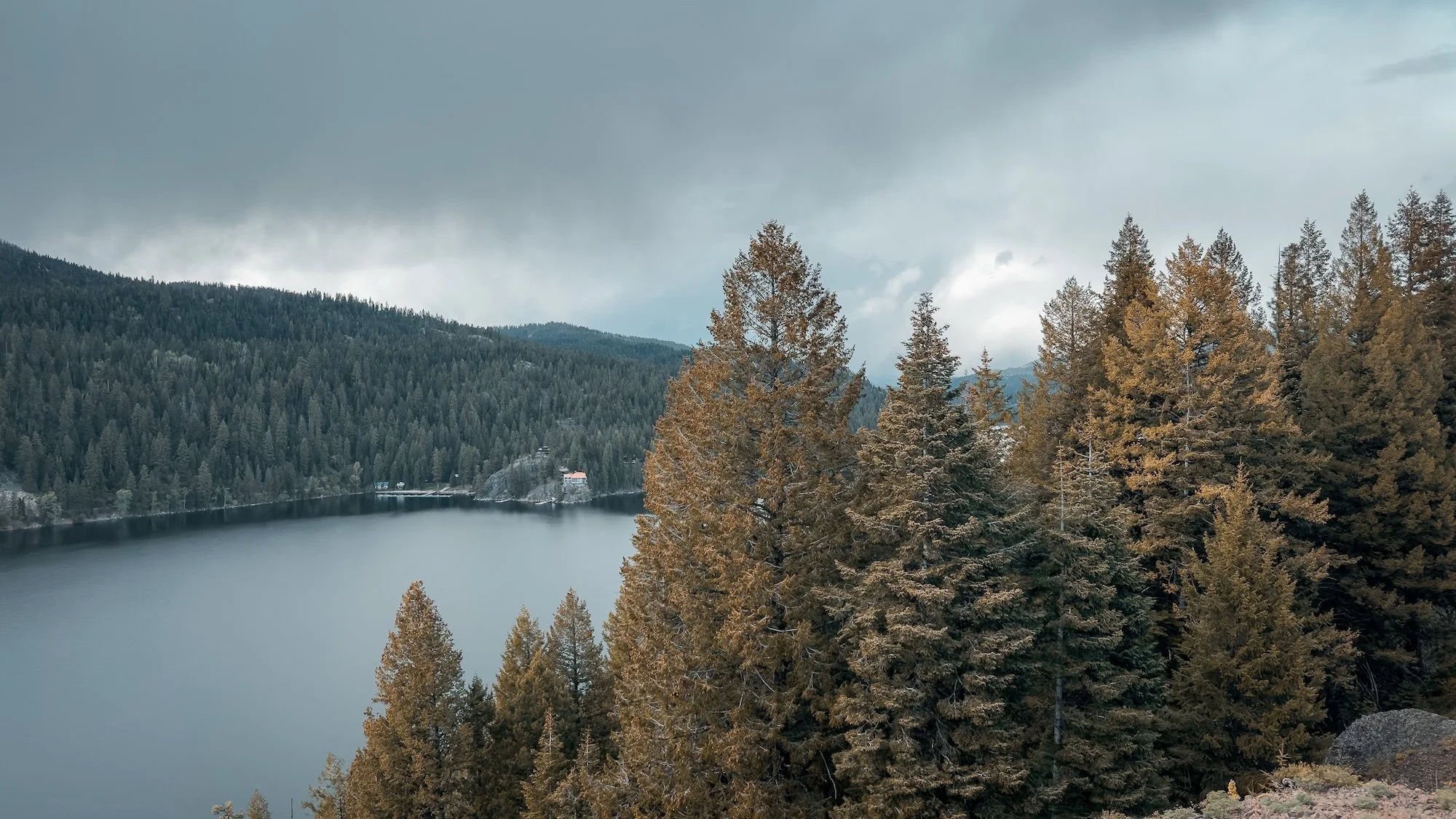 McCall_02.jpg