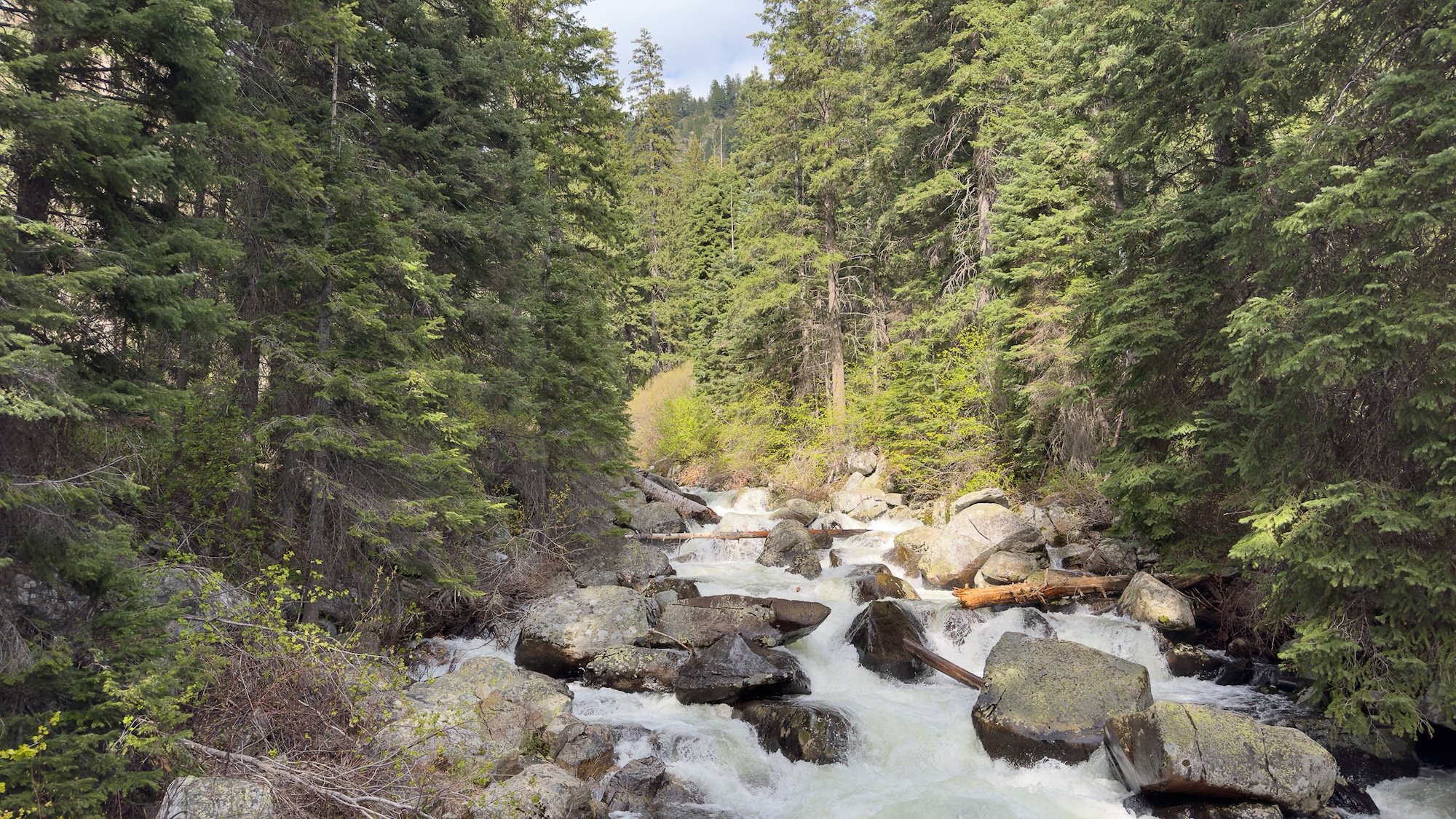 Waterfall_McCall.jpg
