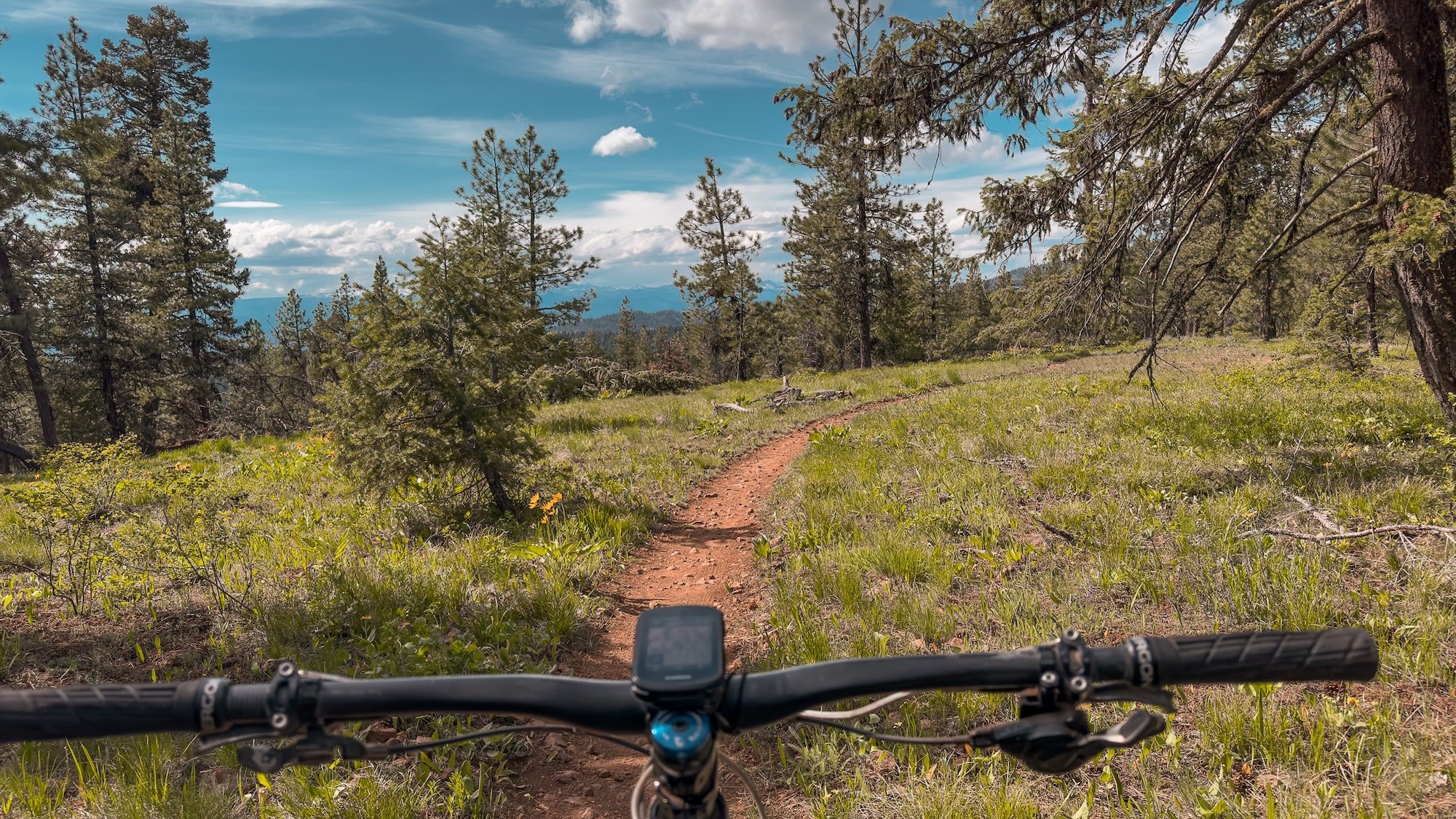 BearBasin_MTB.jpg