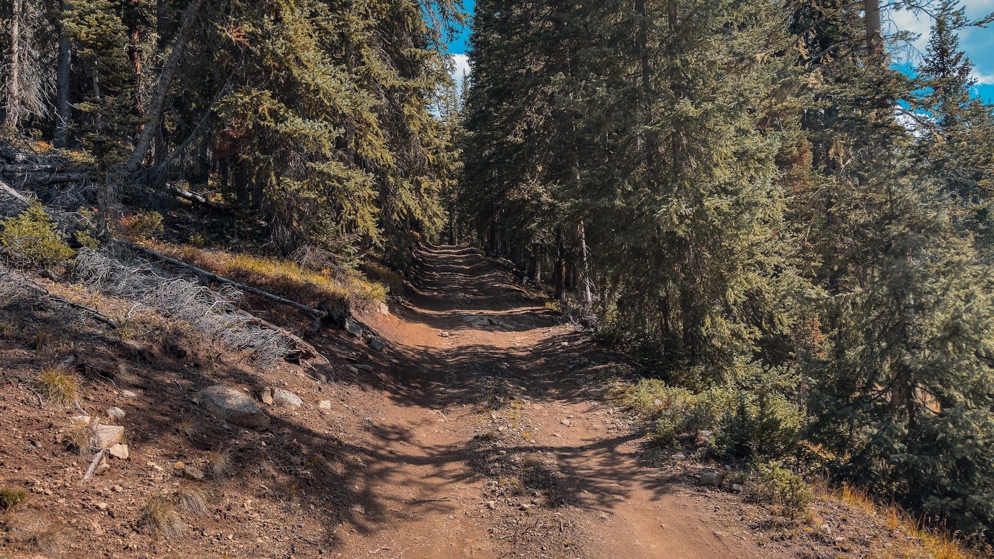 SplainsGulch-06.jpg