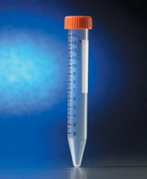 FSHSCI_639057.jpg