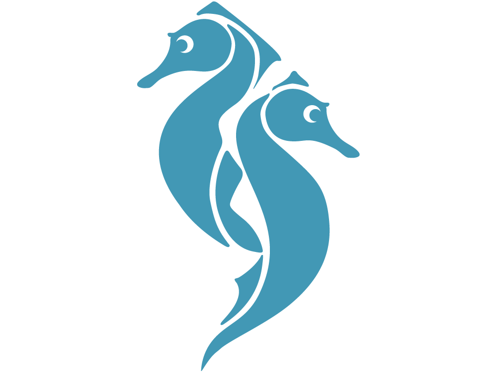 Wailea Blue Logo