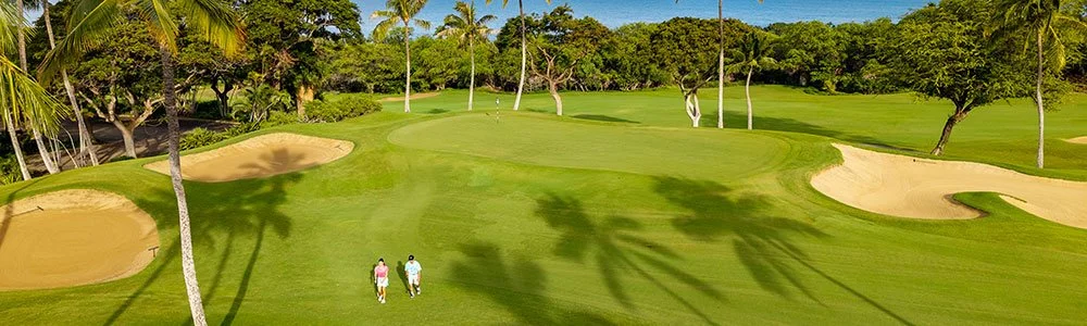 Two people walking on a golf course with green grass, surrounded by palm trees and sand bunkers under a clear blue sky.