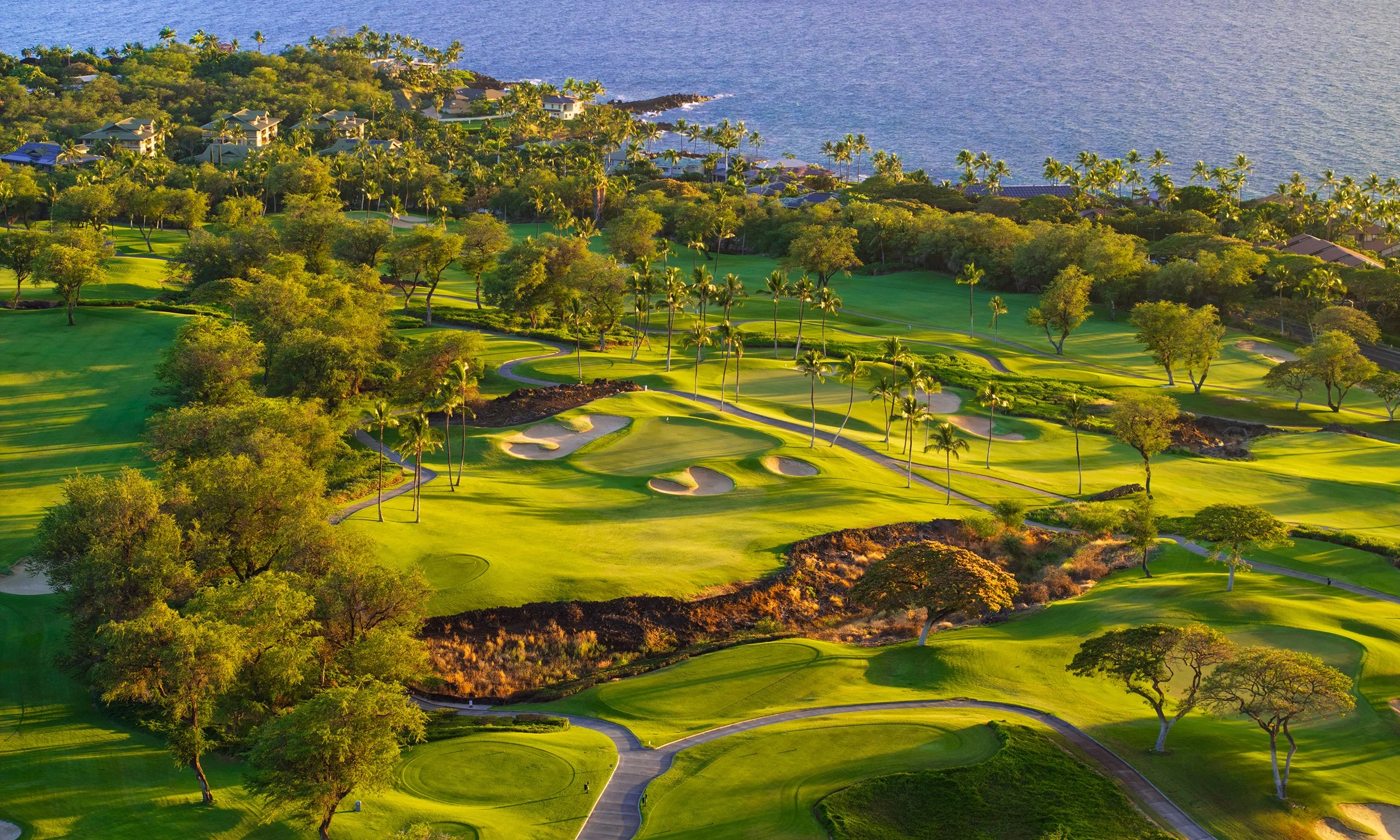Aerial view of Wailea Golf Club.