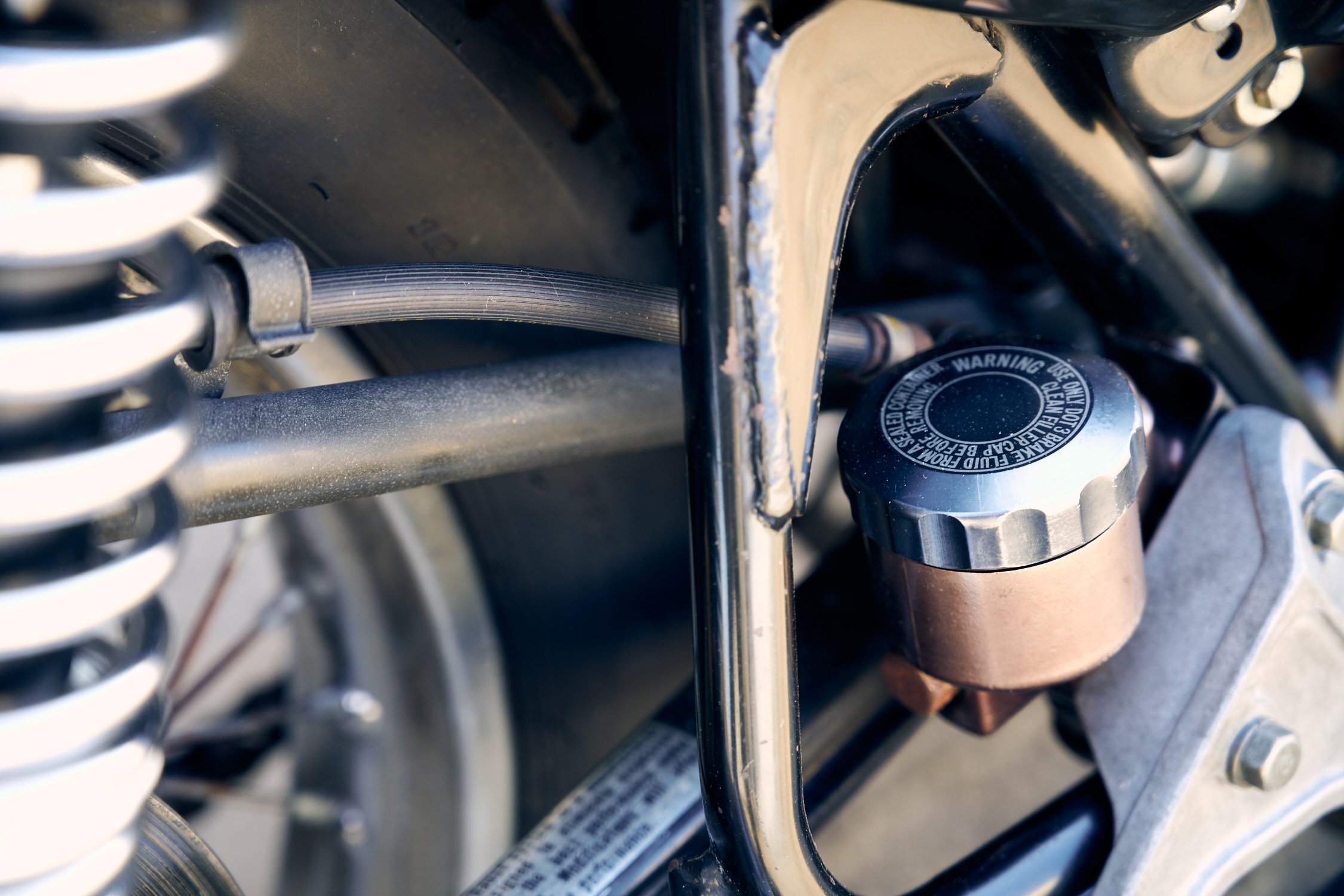 AJP_6922_81sr500.jpg
