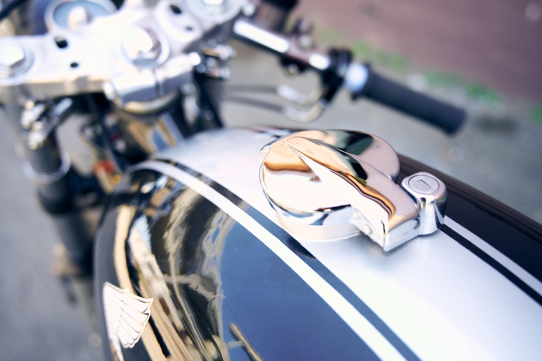 AJP_6940_81sr500.jpg