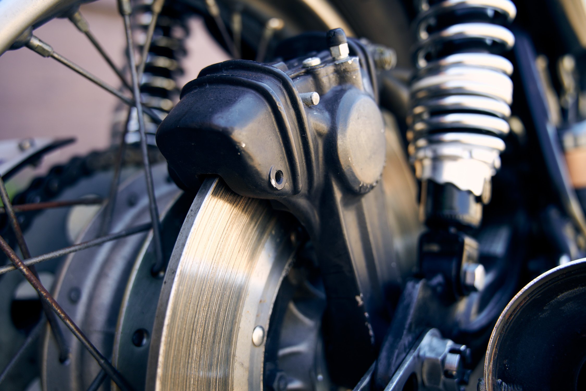AJP_6919_81sr500.jpg