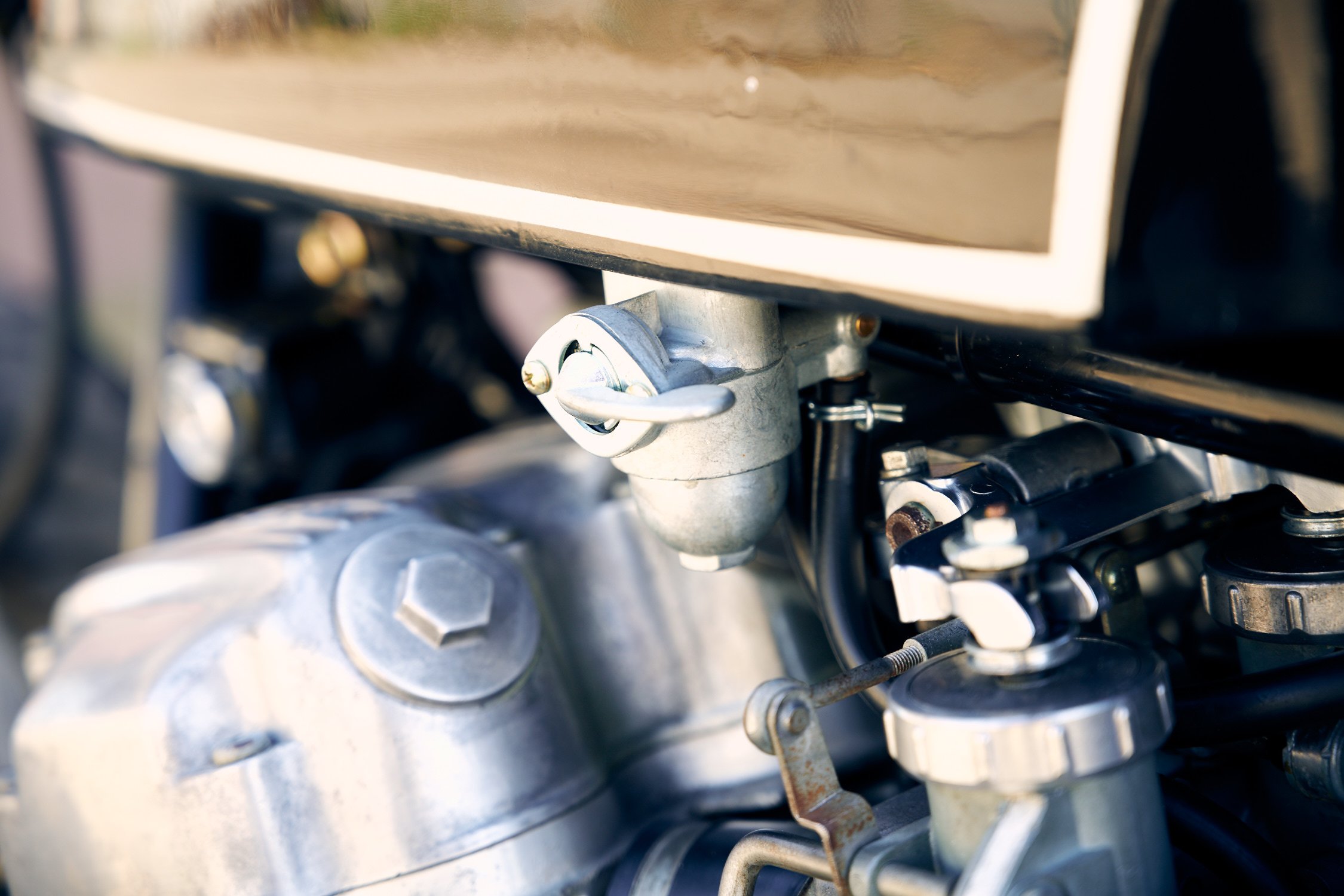 AJP_6937_81sr500.jpg