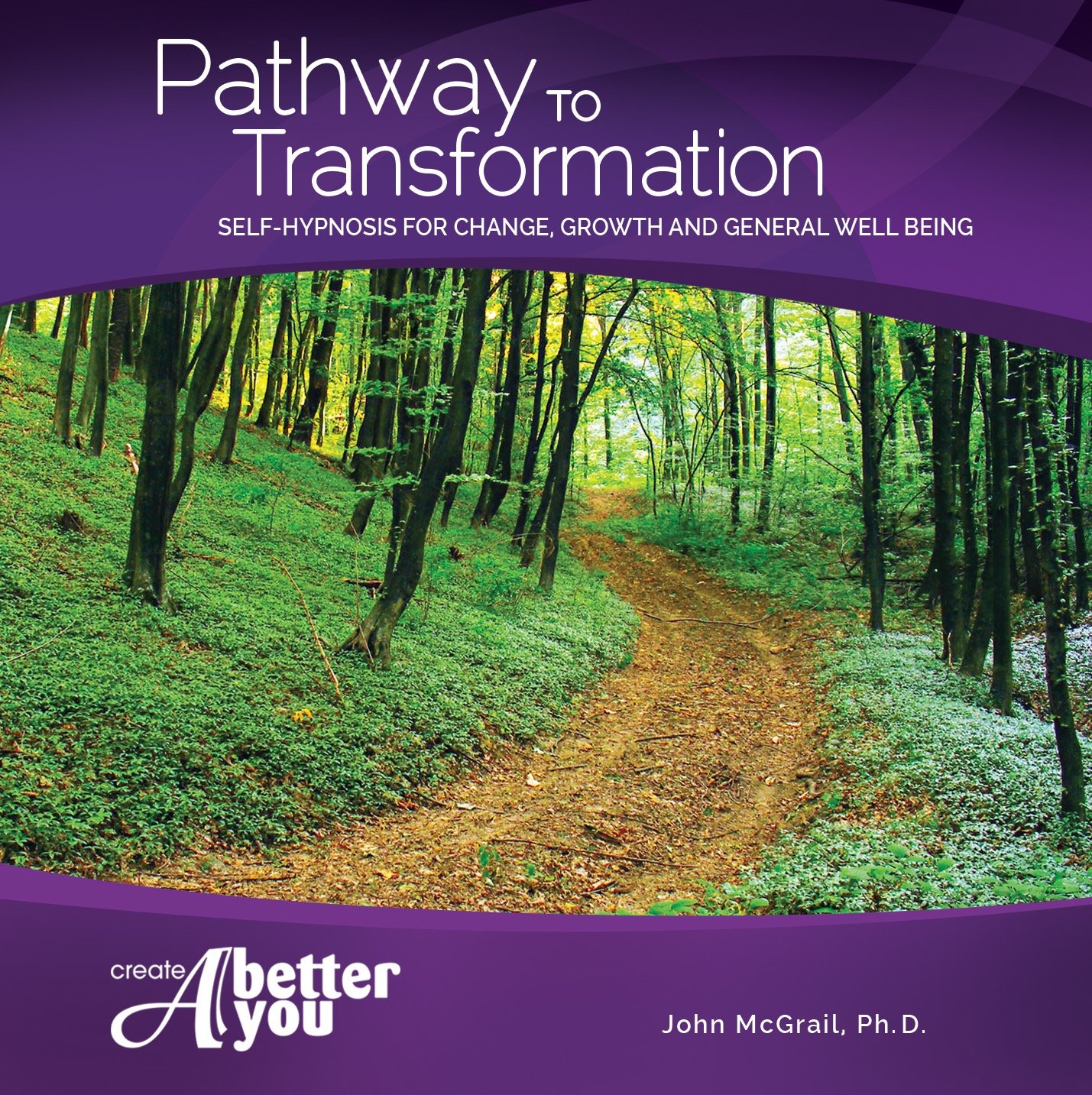 Pathway_to_Transformation.jpg