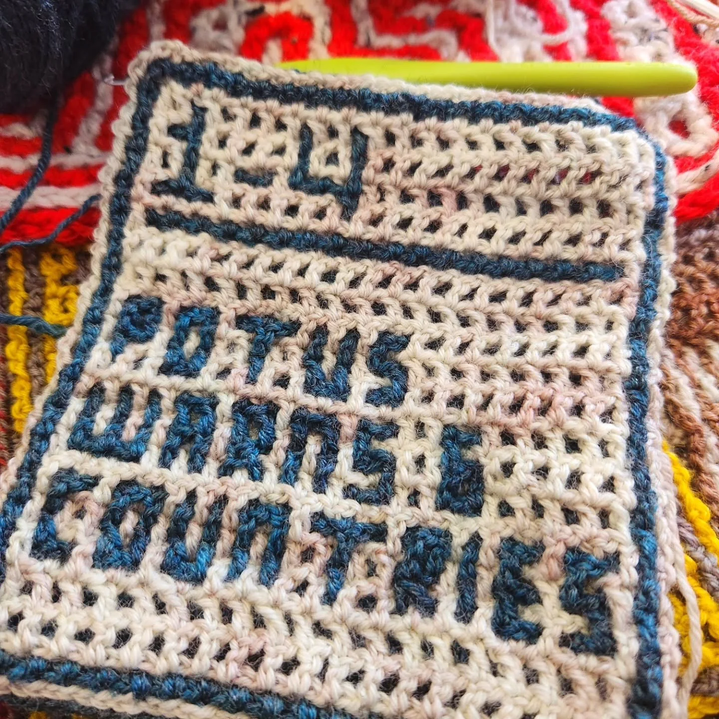 Finally finished January 4th. I had no motivation the last several days- I hope to do days 5 and 6 today as well. This square is inspired by Trump threatening military action in Venezuela, Columbia, Cuba, Mexico, Iran and Greenland

#interlockingcroc