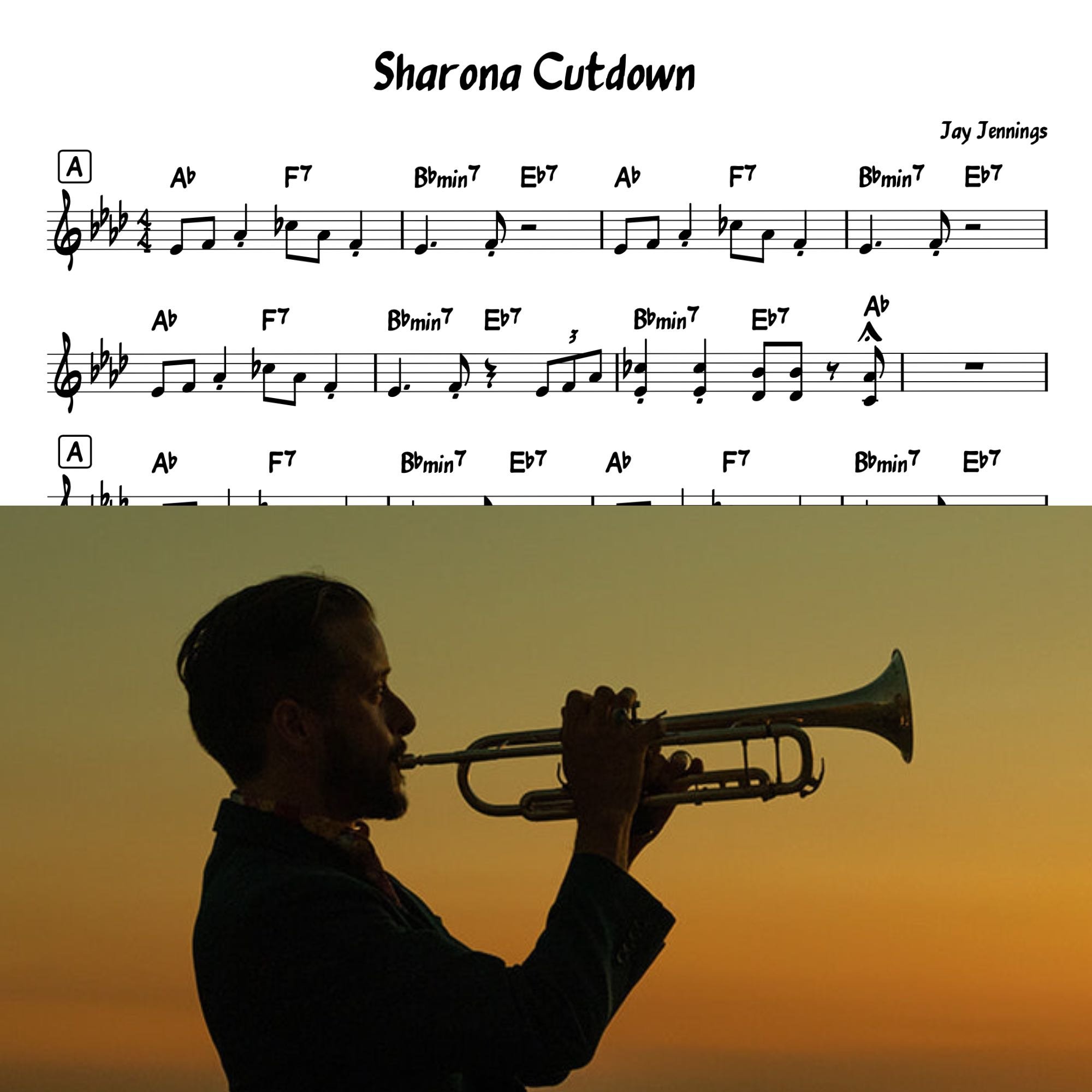 Sharona cutdown .jpg
