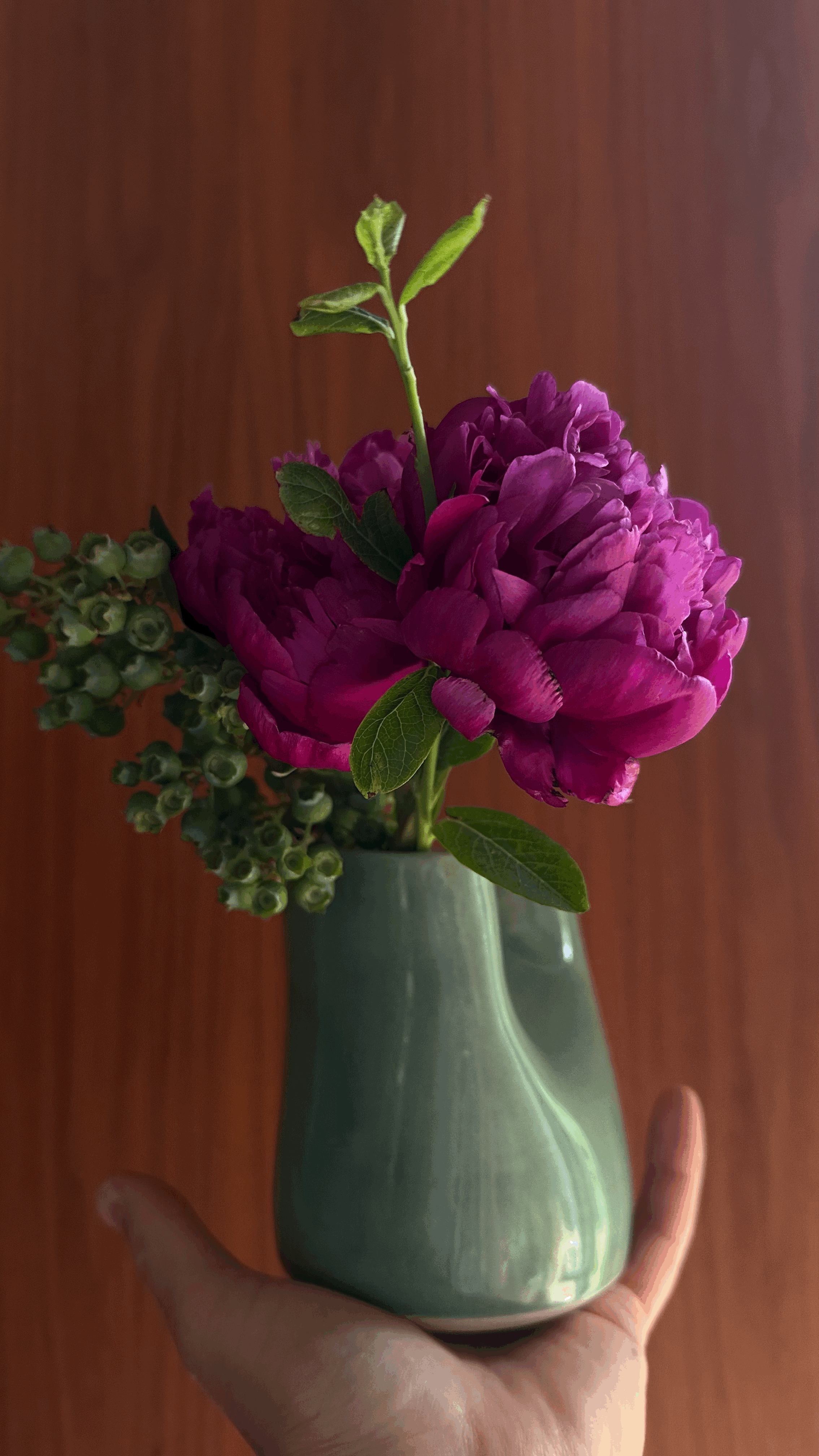 tempImagewJafKi.gif