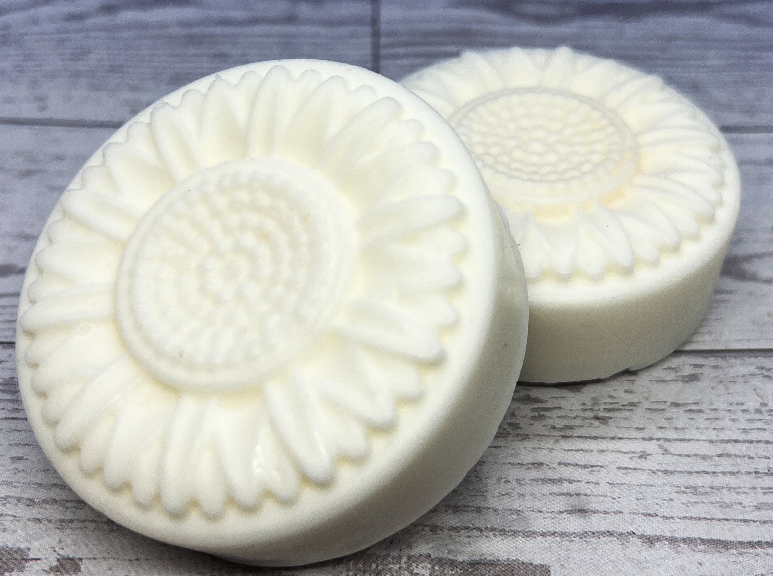 Shampoo & Conditioning Bars