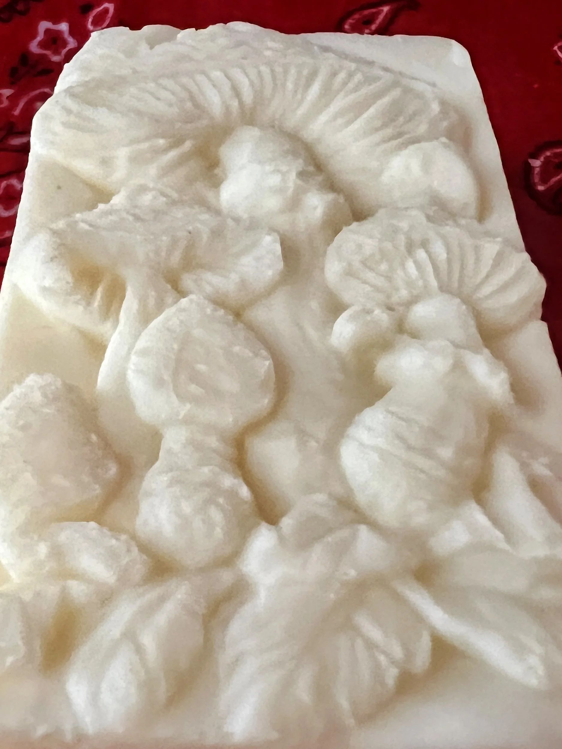Creamy_Shea_Mushroom_Details.jpg