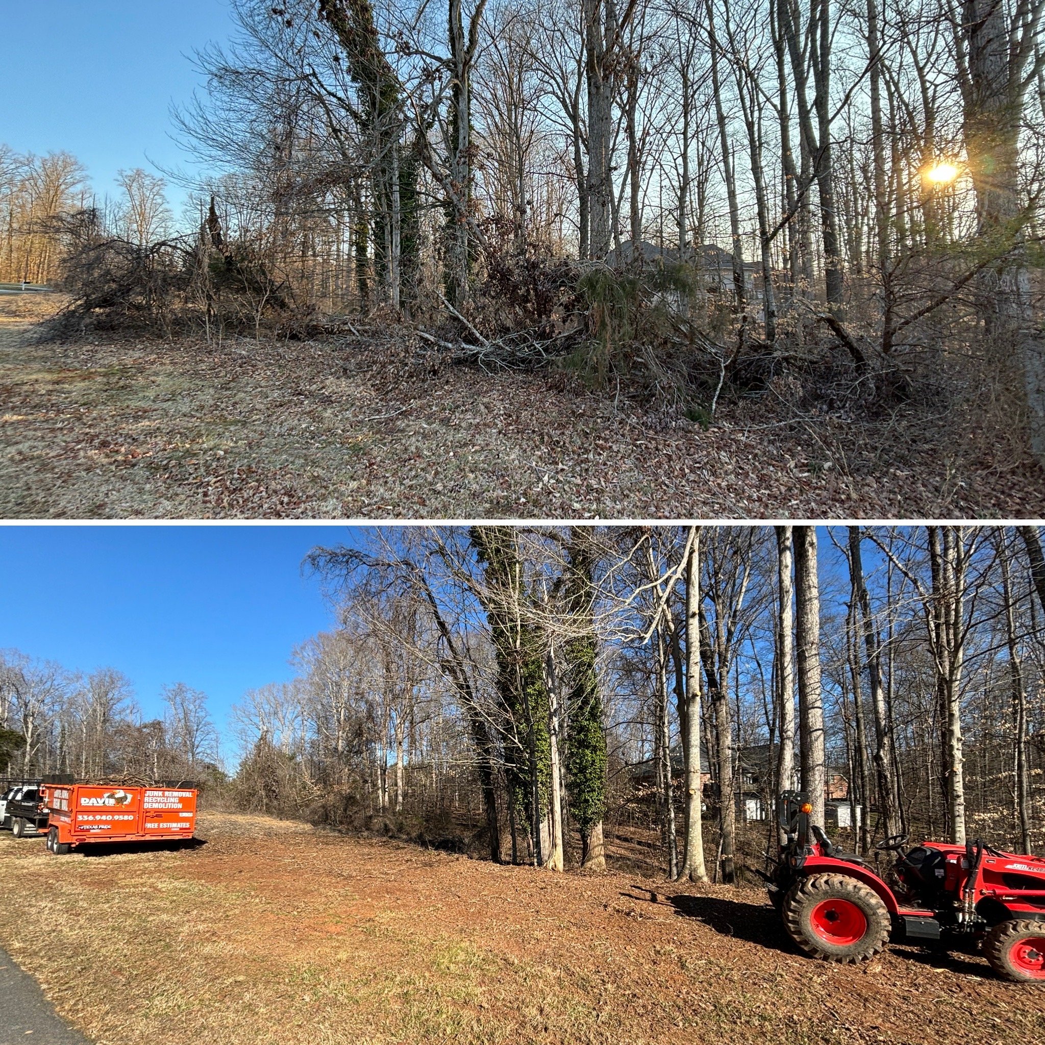 Before and after yard cleanup with trees and a red tractor