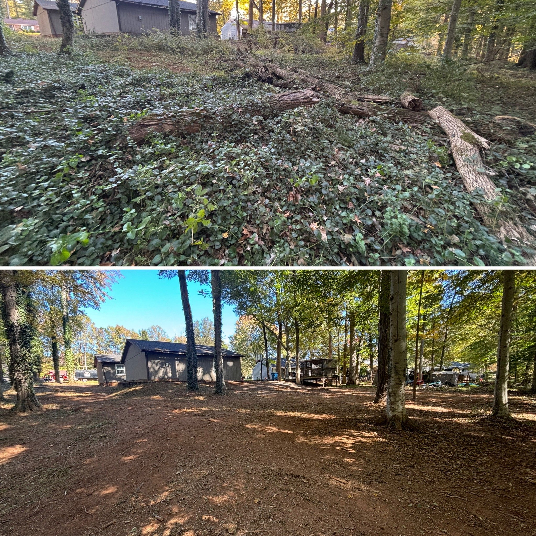 Top image shows a wooded area with ground covered in green ivy and fallen logs; a gray building is partially visible in the background. Bottom image depicts a cleared, open dirt area with scattered trees and a gray building in a forested setting.