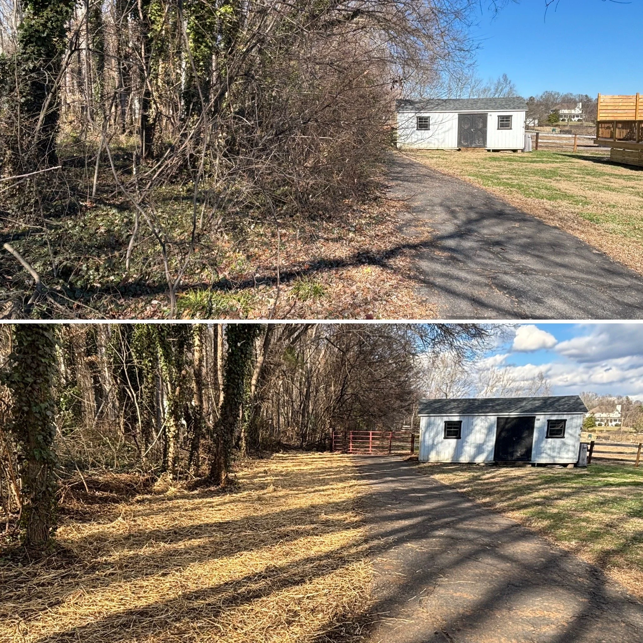 Side by side comparison of two outdoor scenes showing before and after landscape clearing. The first image depicts an overgrown area with bushes and trees next to a small white building. The second image shows the same area after clearing, with straw