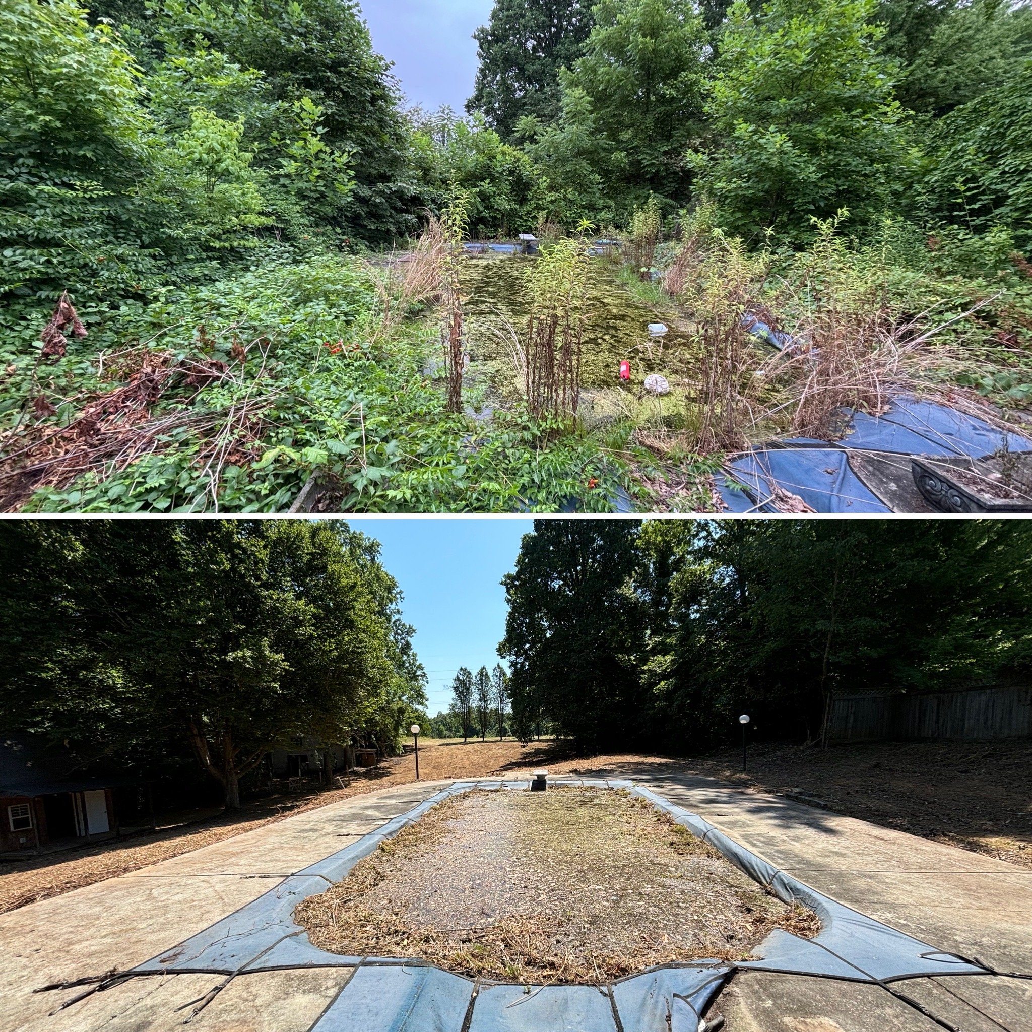 Before and after images of a neglected pool area. The first image shows the pool overgrown with weeds and surrounded by dense vegetation. The second image depicts the pool area cleared of overgrowth, with visible pavement and reduced plant presence,
