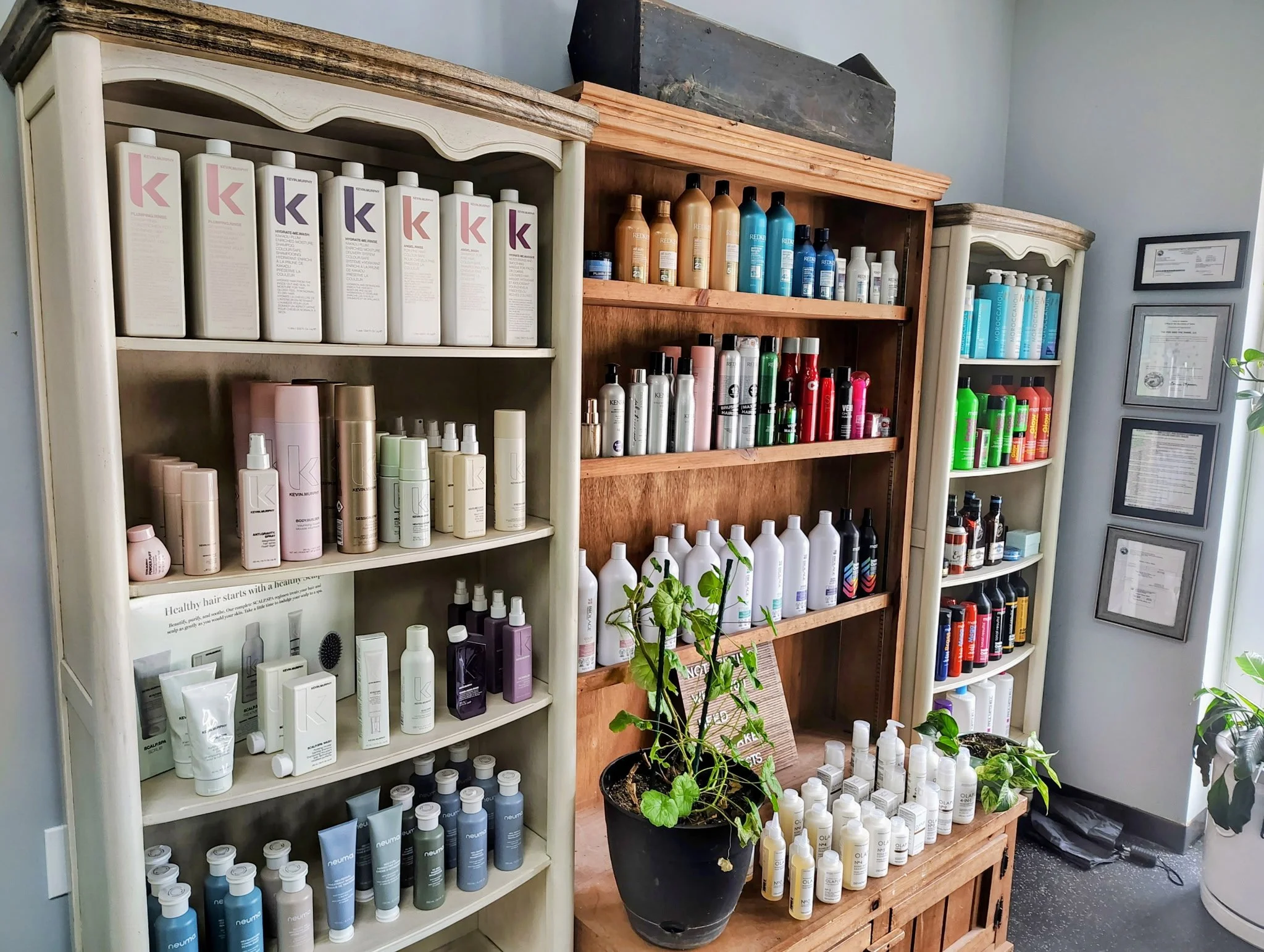Display of various haircare products on wooden and white shelves, including bottles and tubes of different sizes and colors, with a potted plant in the foreground and framed certificates on the wall.